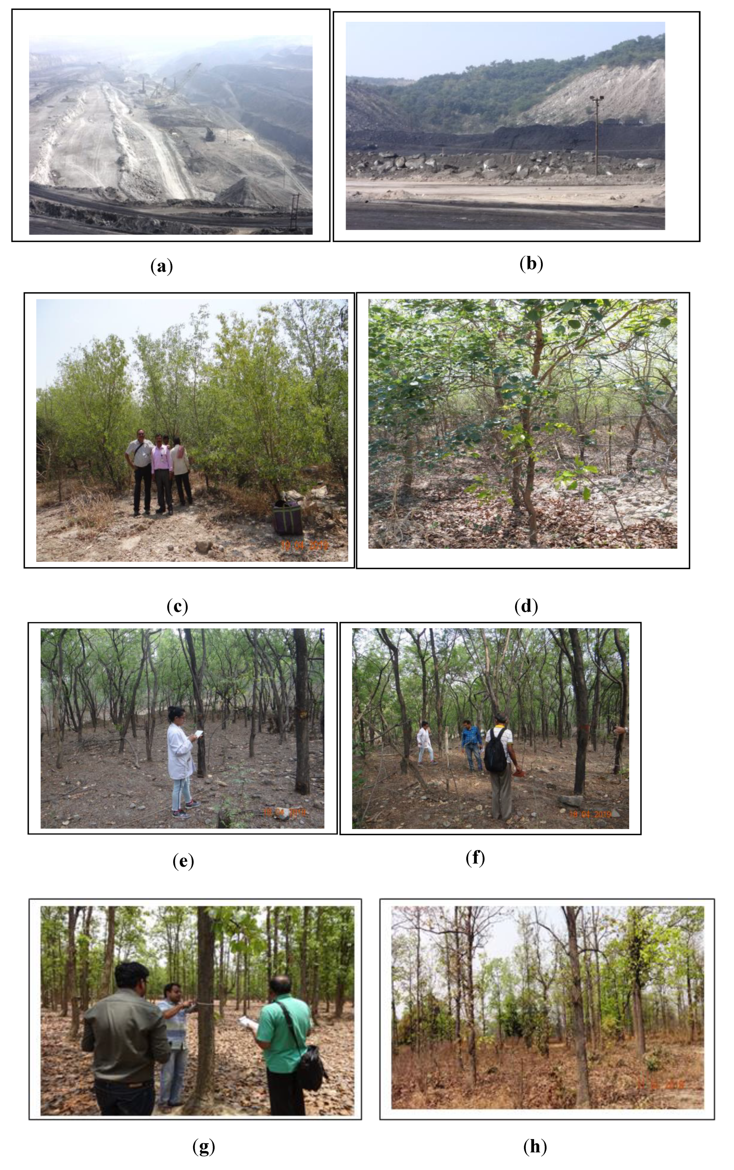Forests | Free Full-Text | Assessment Of Forest Ecosystem.