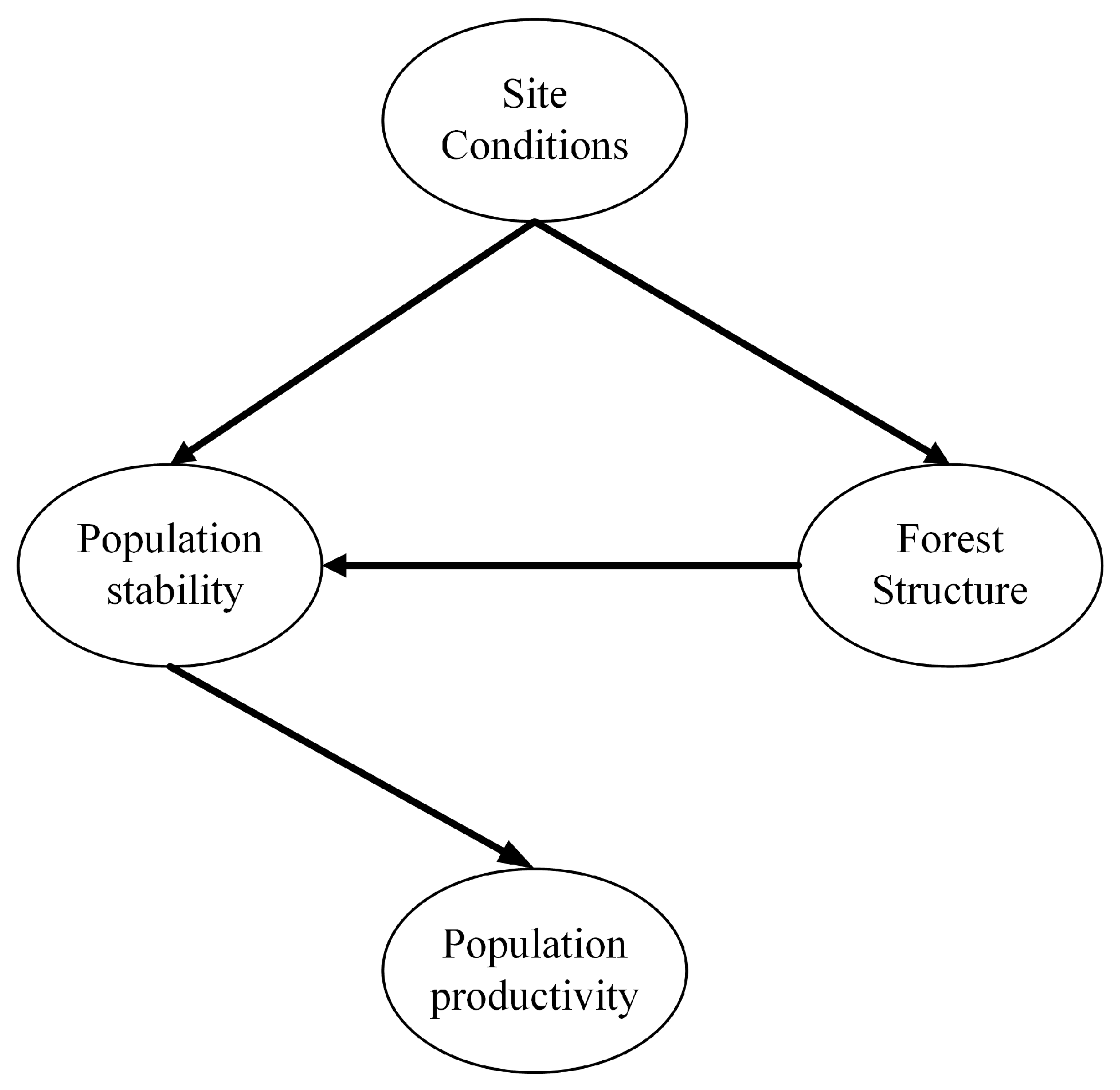 Forests 11 01328 g002