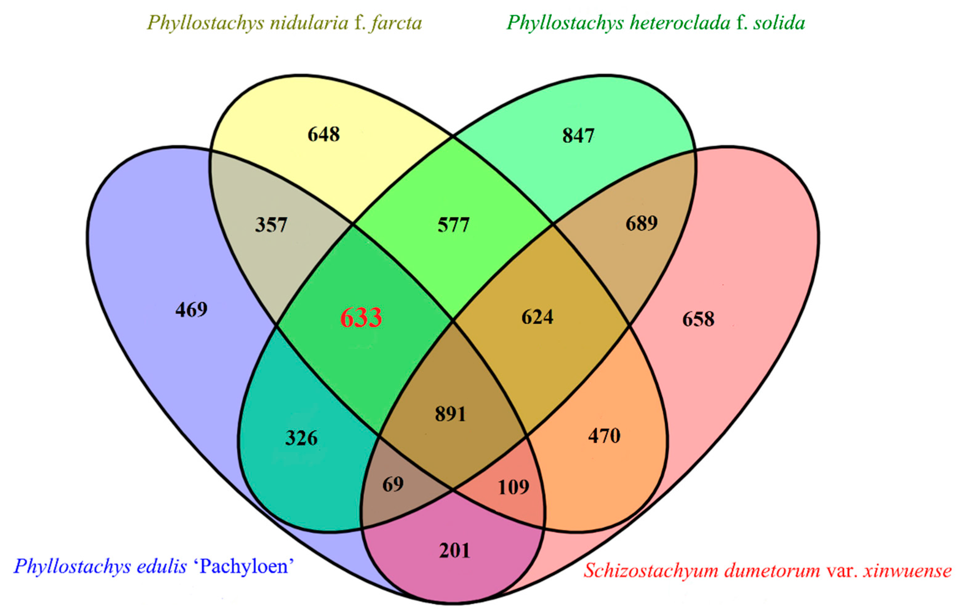 Forests 11 01331 g002
