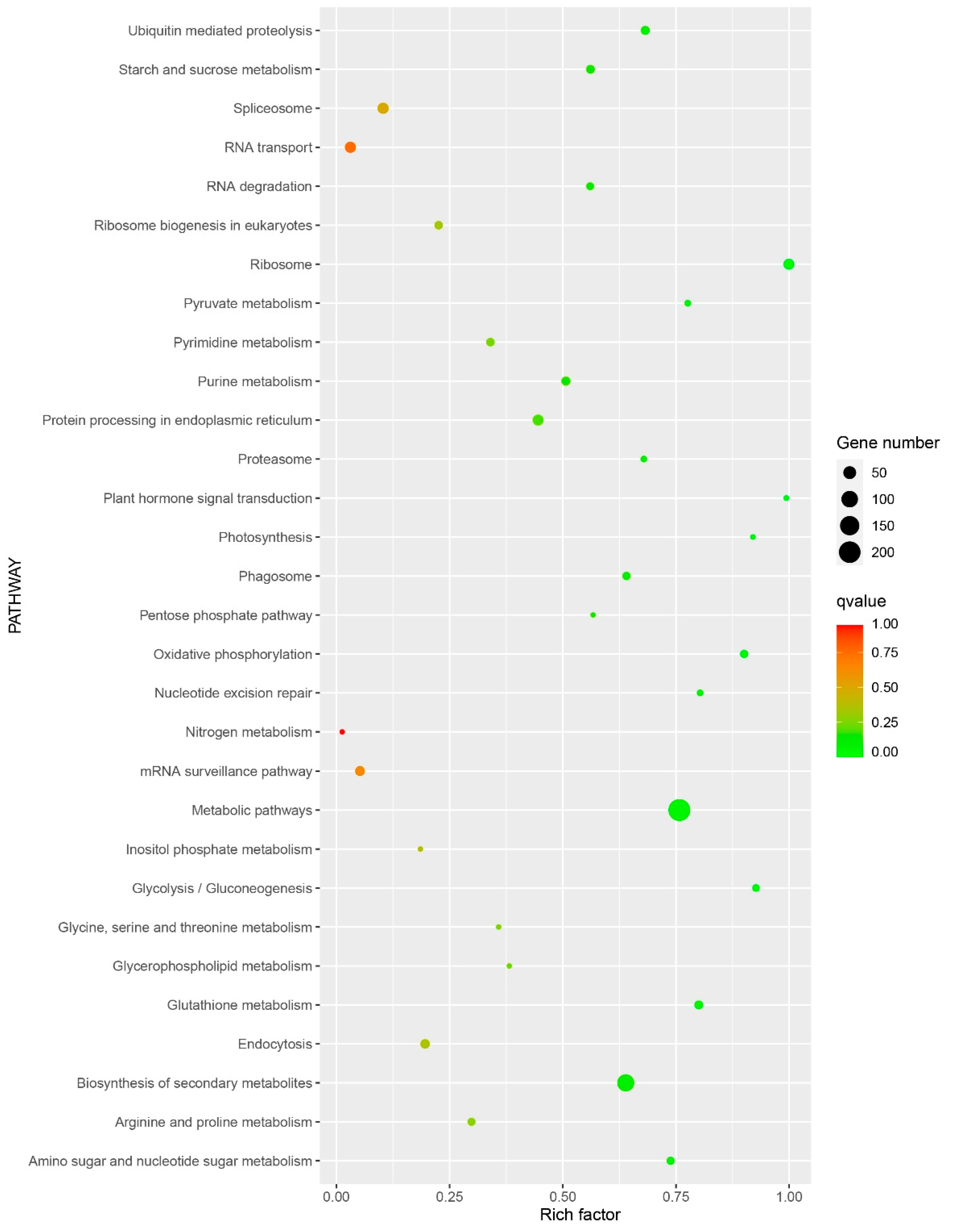 Forests 11 01331 g004