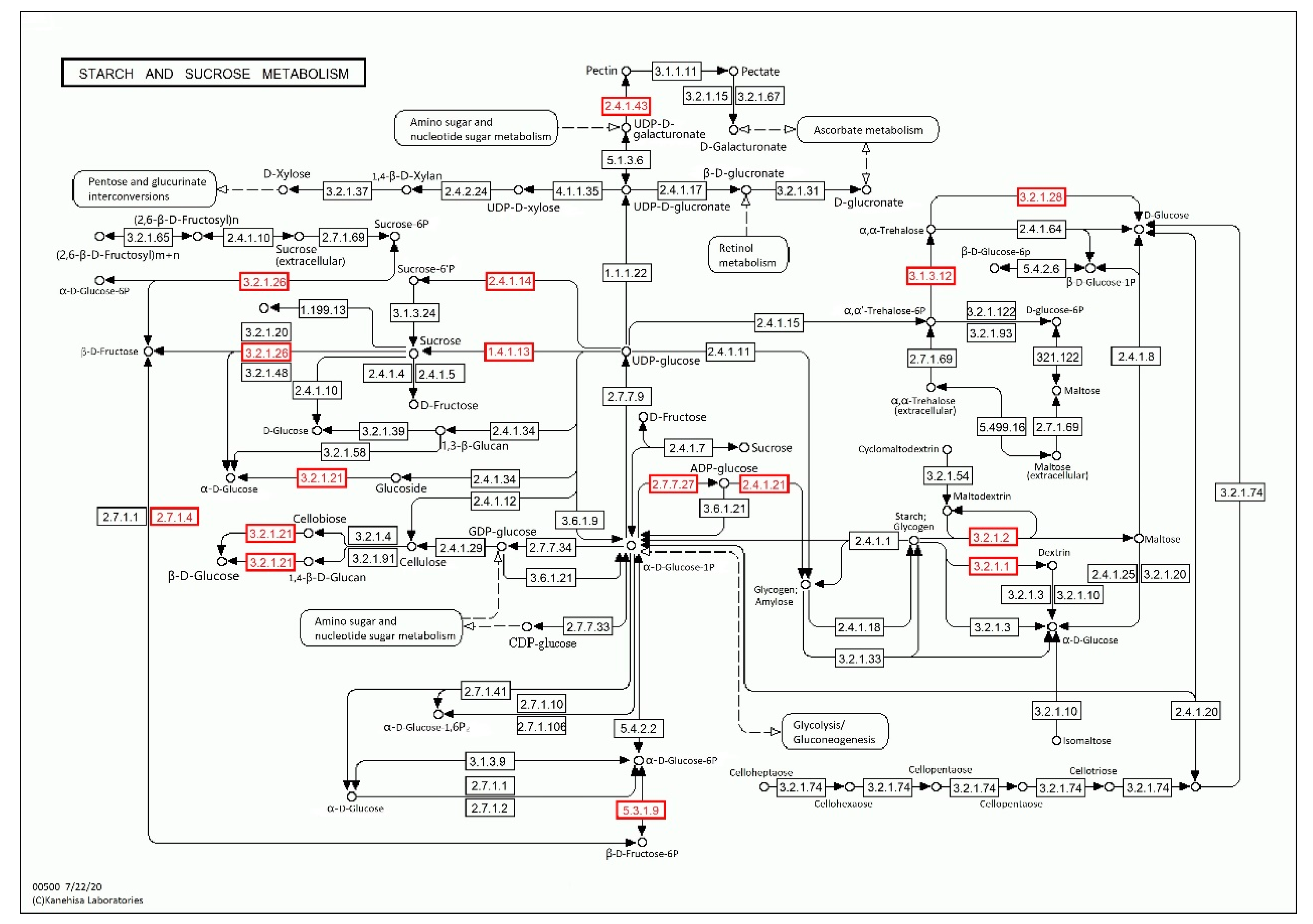Forests 11 01331 g005