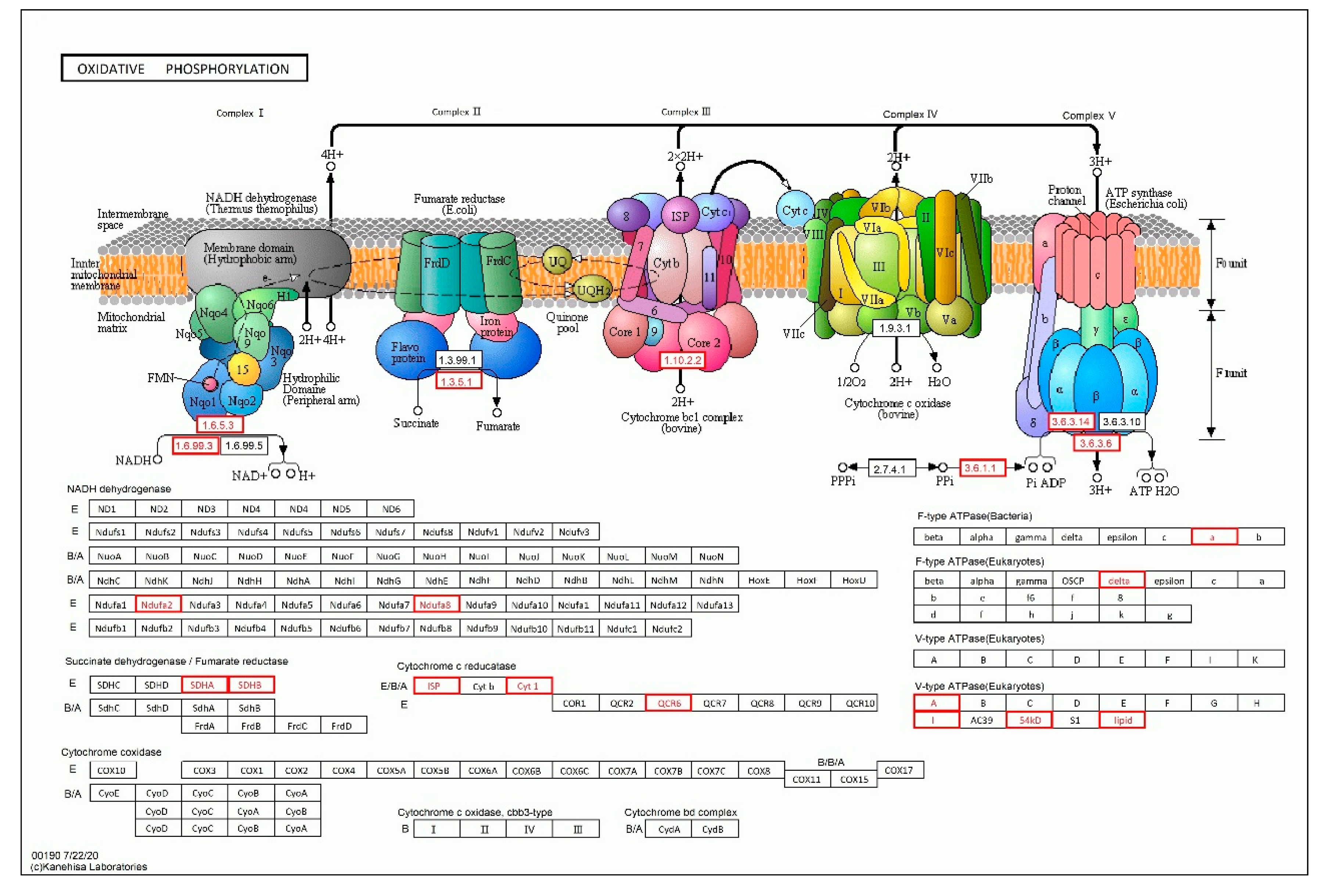 Forests 11 01331 g006