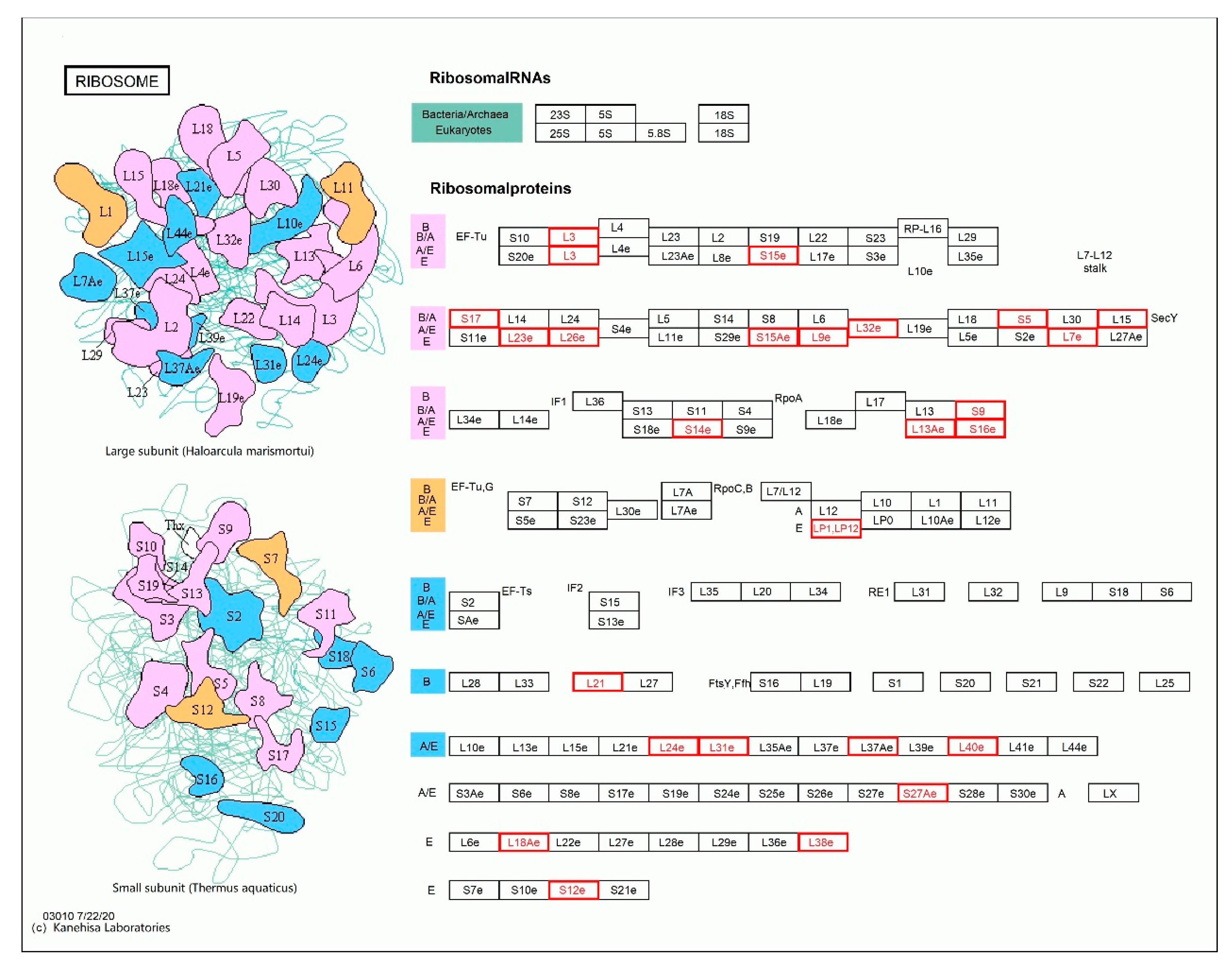 Forests 11 01331 g007