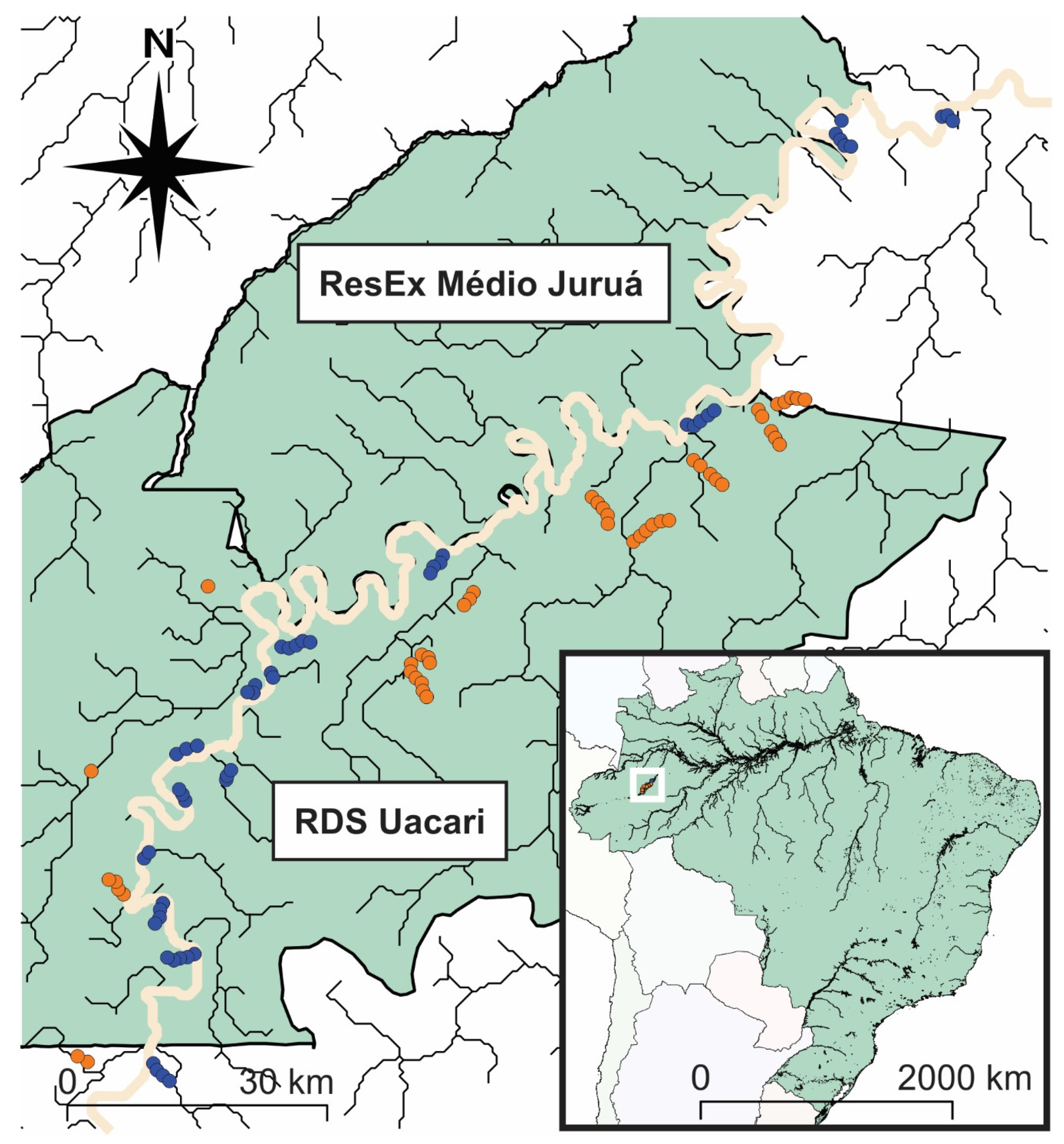 Forests | Free Full-Text | Structure and Composition of Terra Firme and  Seasonally Flooded Várzea Forests in the Western Brazilian Amazon