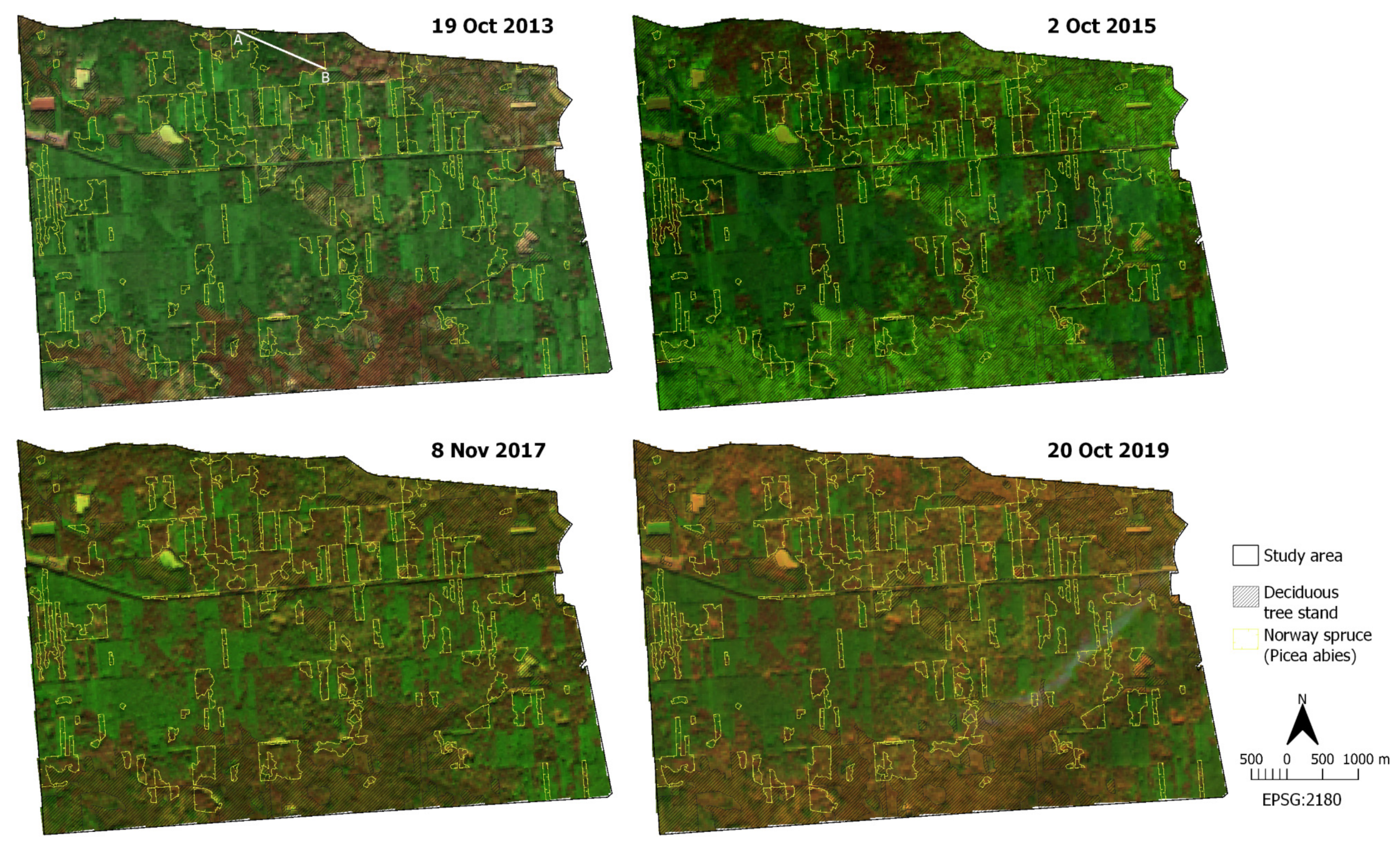 Forests 12 00034 g002