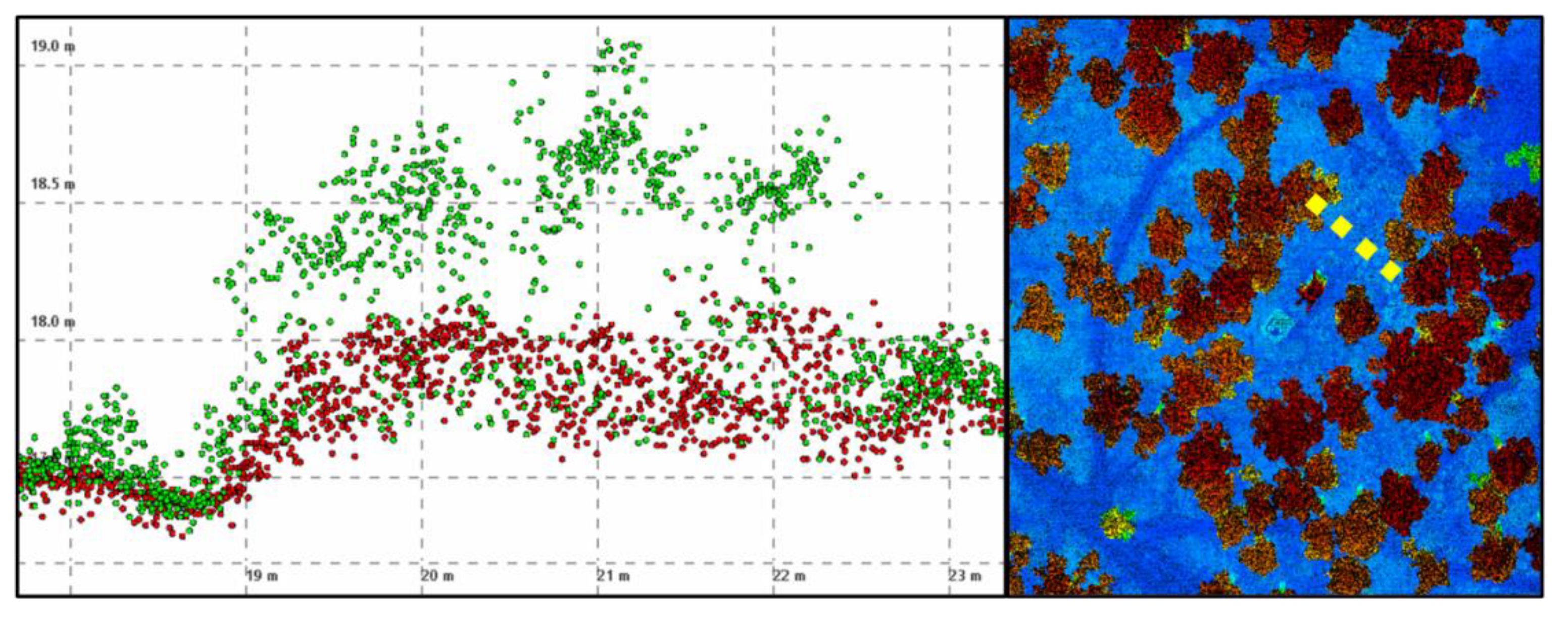 Forests 12 00038 g003