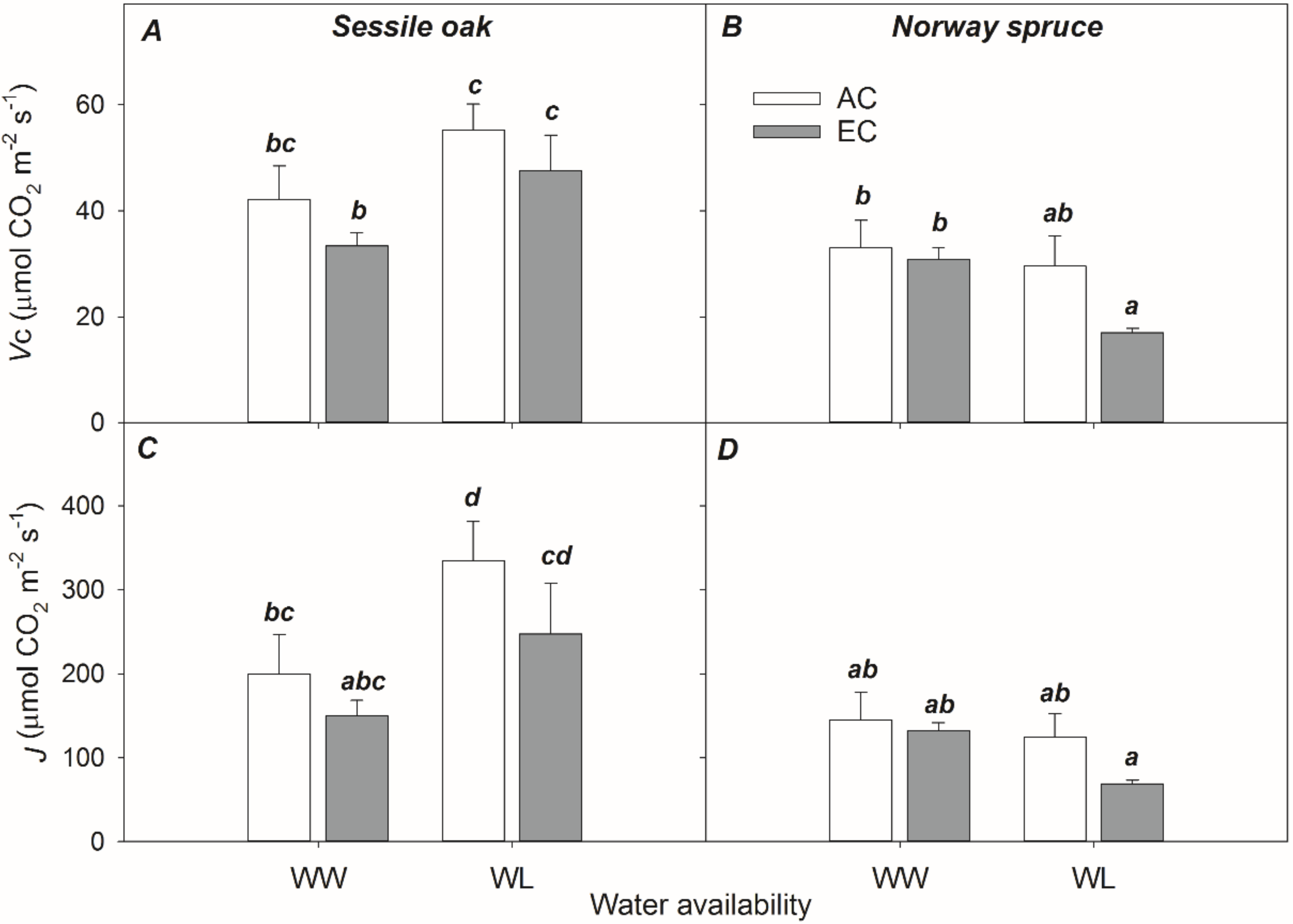 Forests Free Full Text Interactive Effect Of Elevated Co2 And Reduced Summer Precipitation On Photosynthesis Is Species Specific The Case Study With Soil Planted Norway Spruce And Sessile Oak In A Mountainous Forest