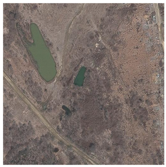 Forests 12 00066 i005 Forests 12 00066 i005