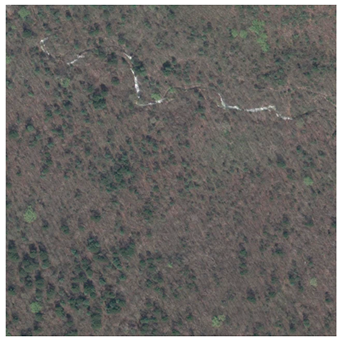 Forests 12 00066 i006 Forests 12 00066 i006