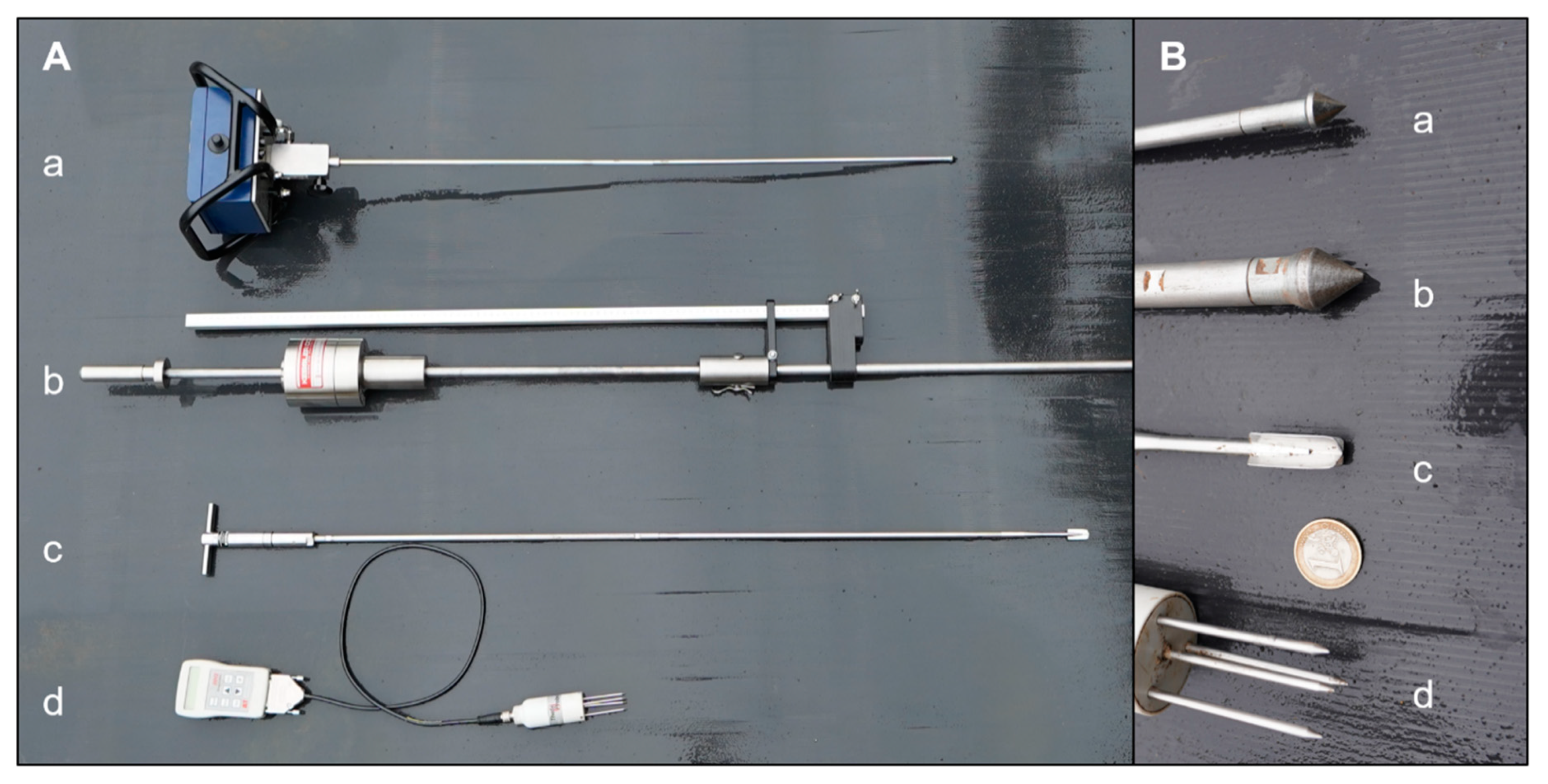 Forests 12 00113 g004 Forests 12 00113 g004