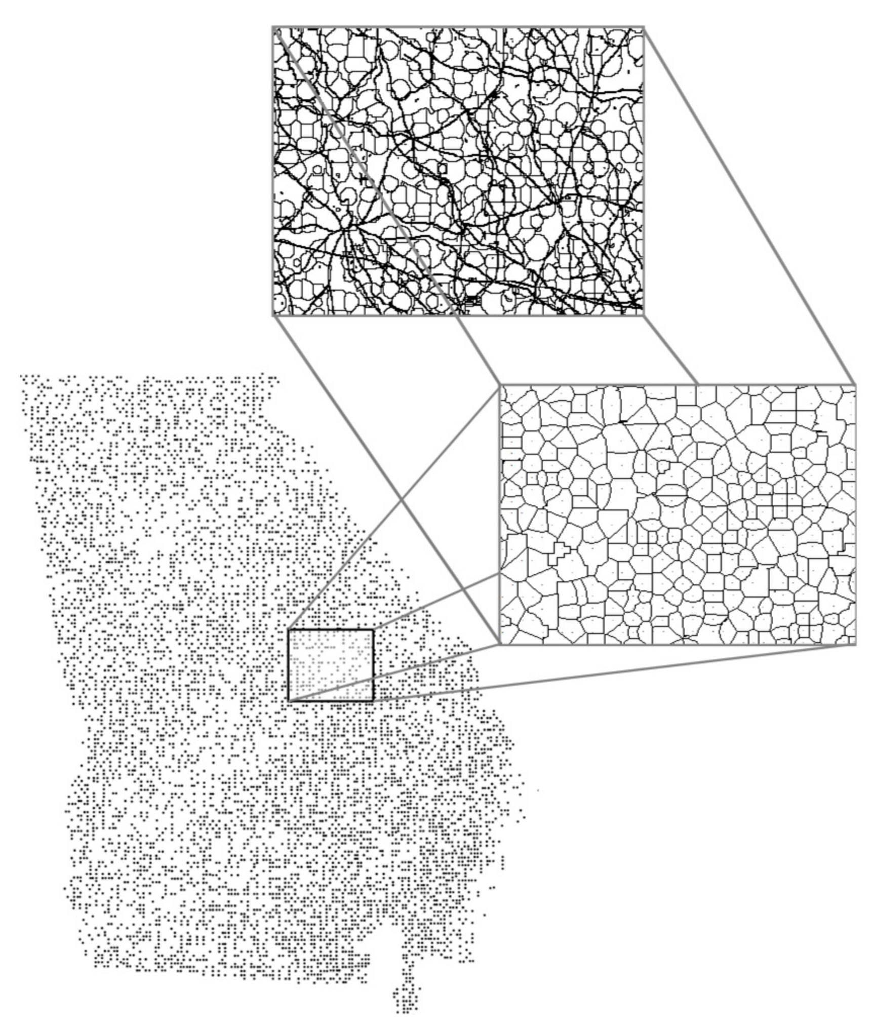 Forests 12 00141 g001