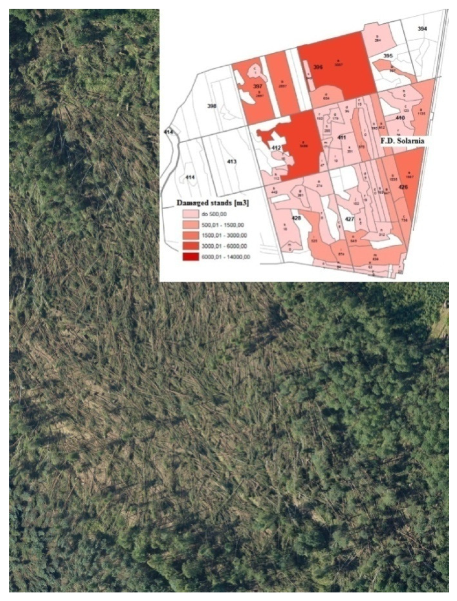 Forests 12 00168 g002 Forests 12 00168 g002