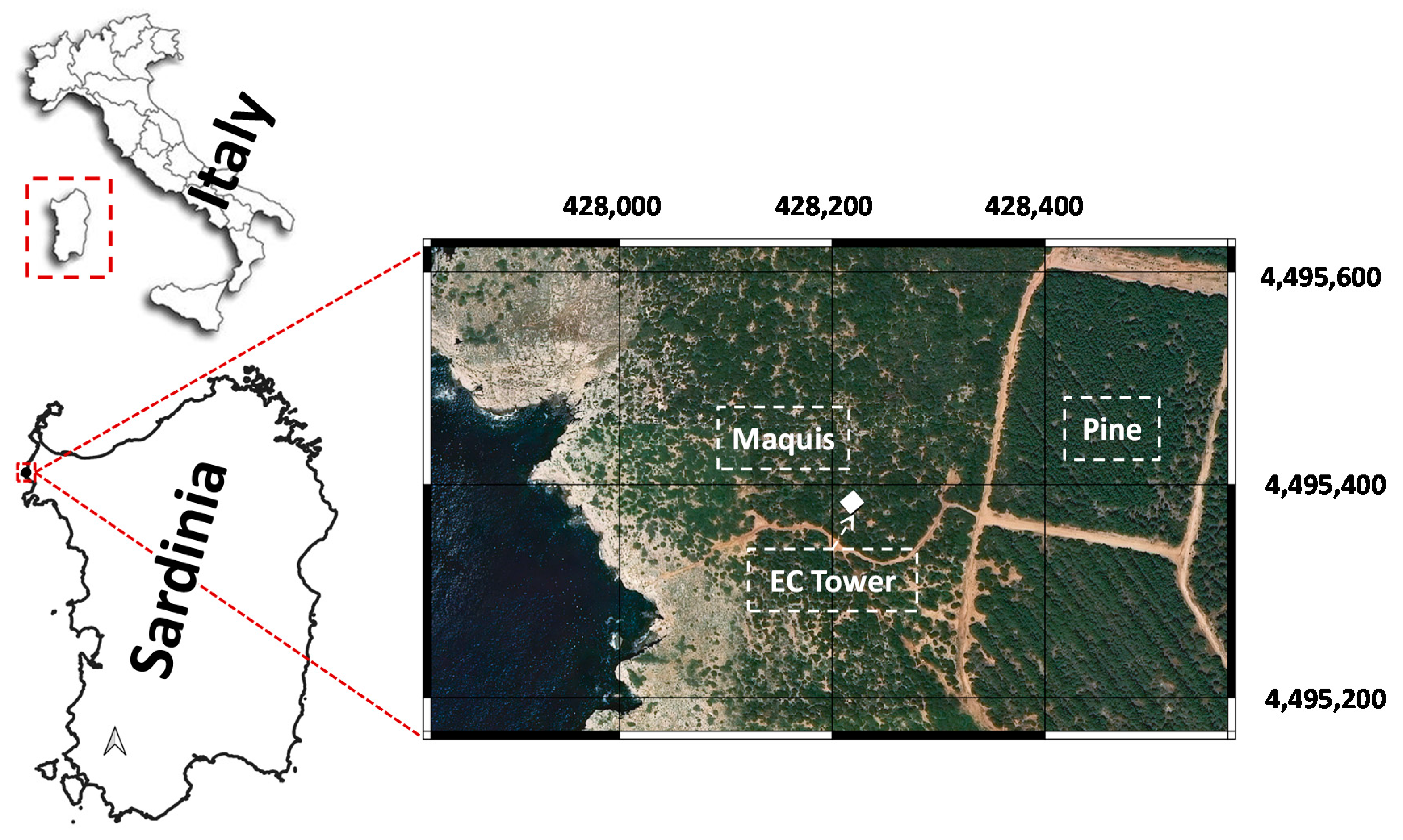 Forests 12 00189 g001 Forests 12 00189 g001