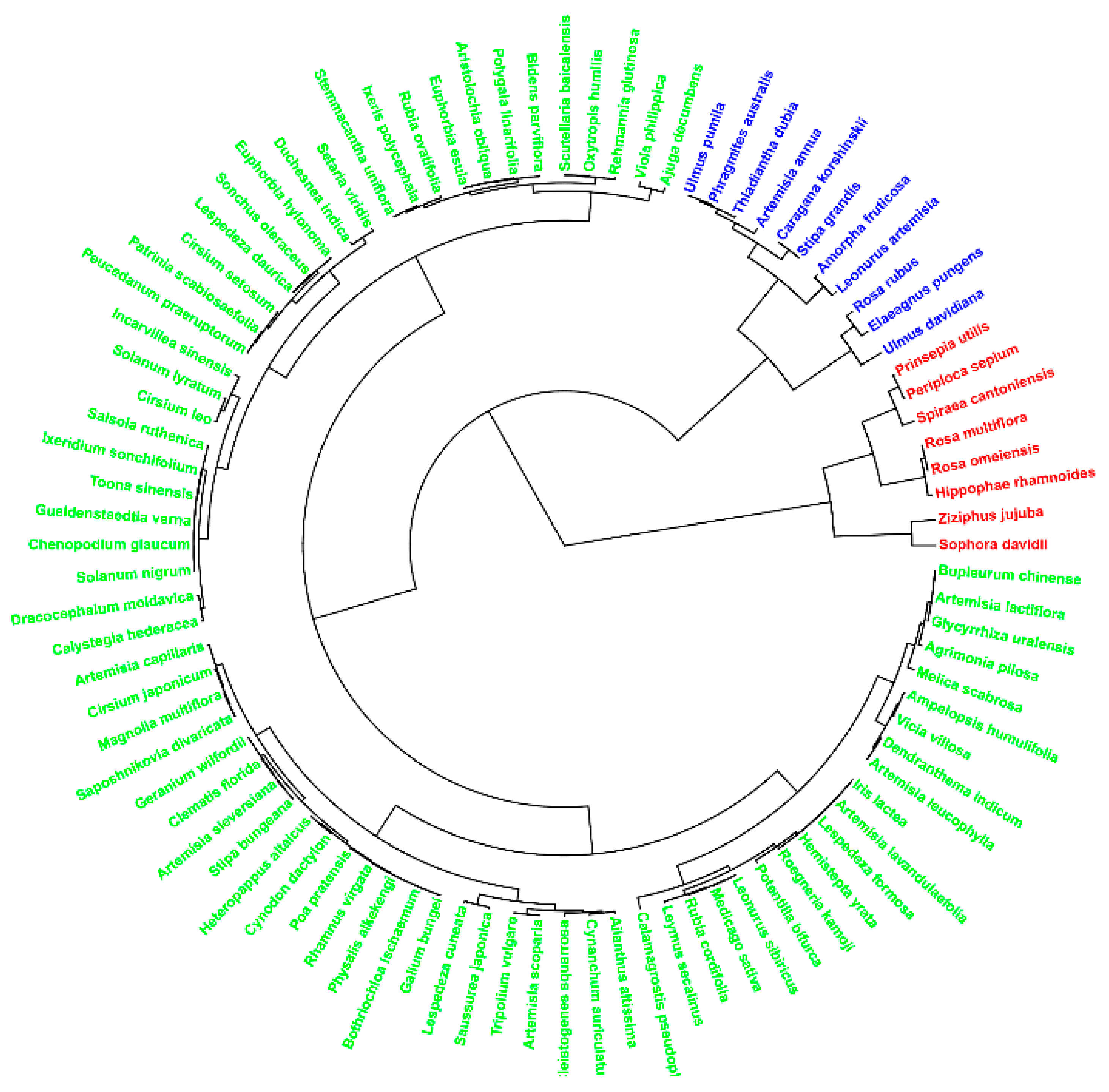 Forests 12 00195 g002