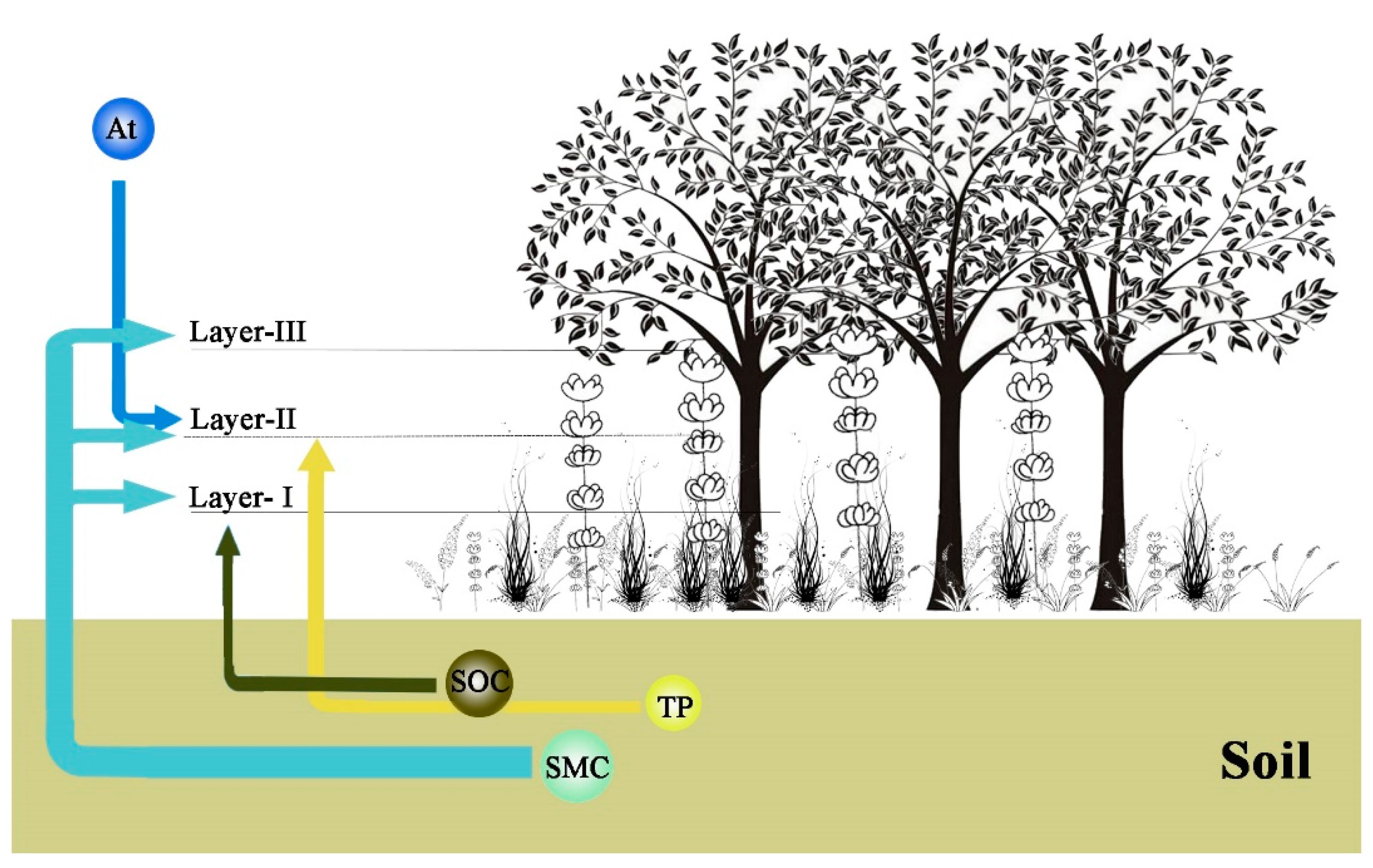 Forests 12 00195 g006