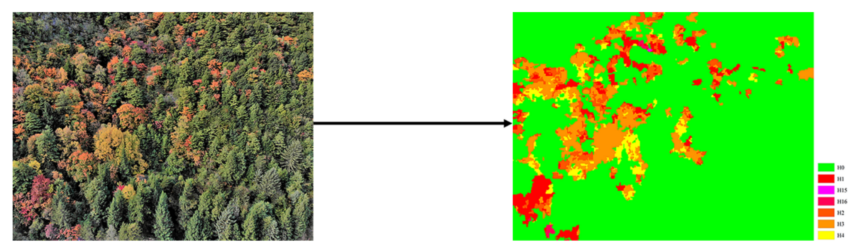 Forests 12 00199 g003