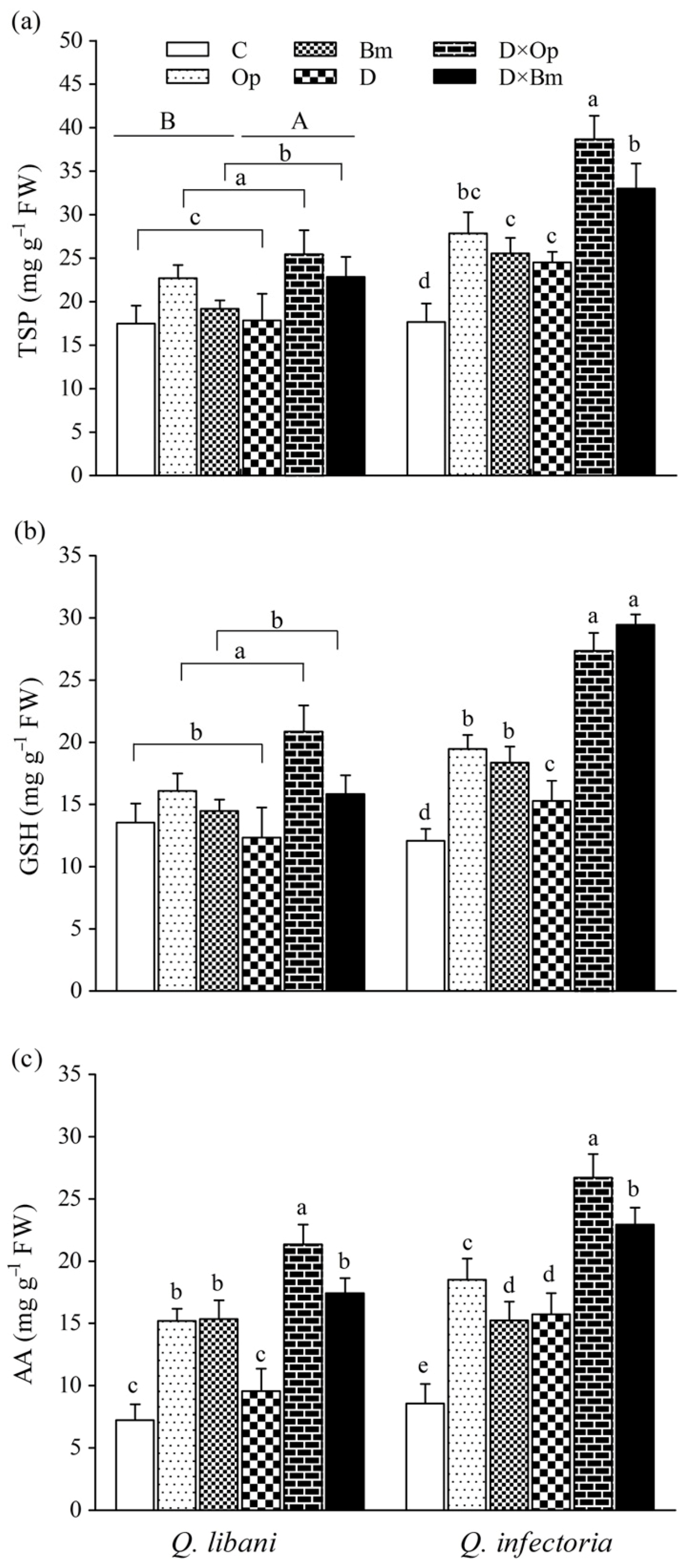 Forests 12 00247 g008