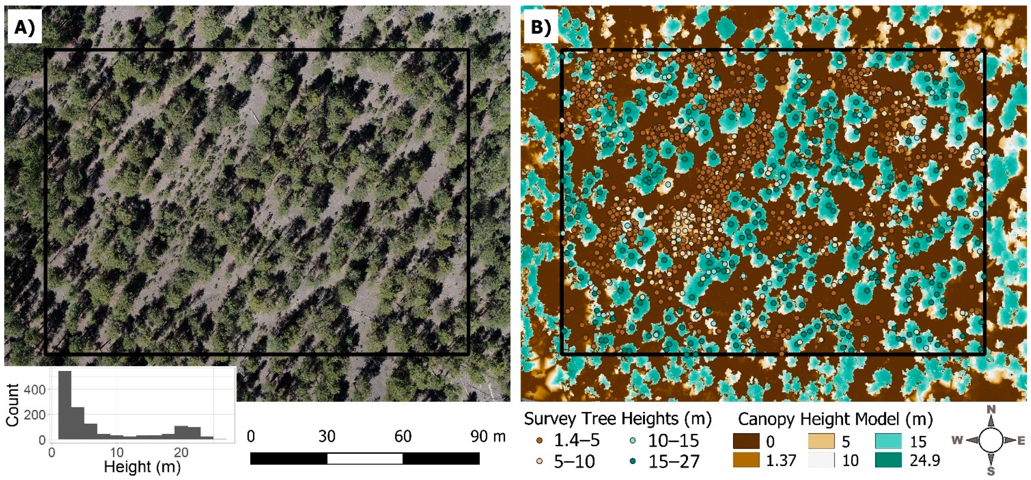 Forests | Free Full-Text | Influence of Agisoft Metashape Parameters on UAS  Structure from Motion Individual Tree Detection from Canopy Height Models