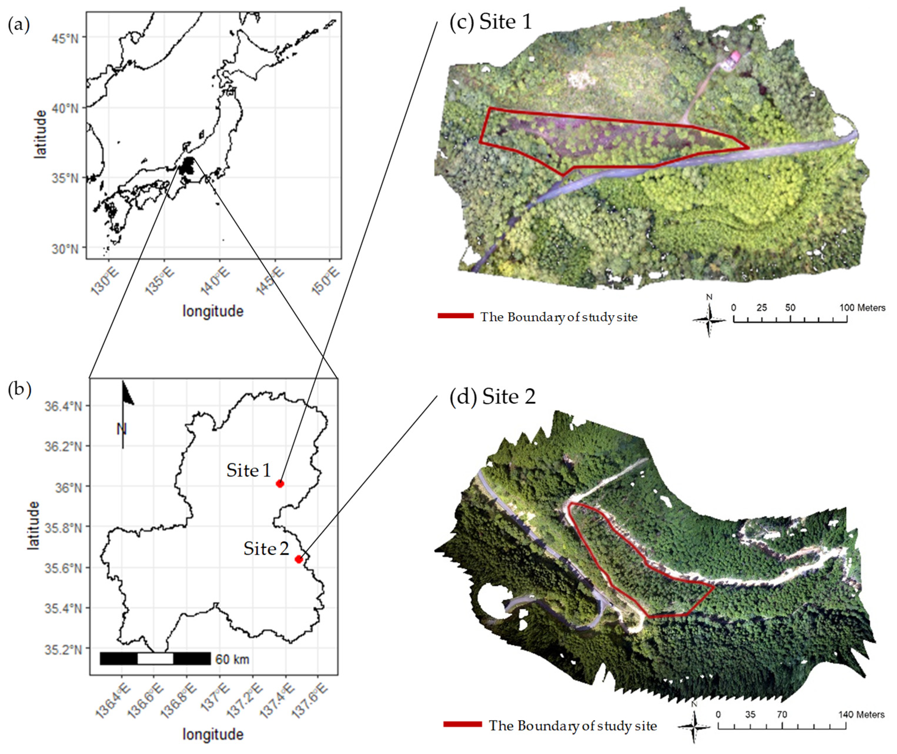 Forests 12 00258 g002 Forests 12 00258 g002