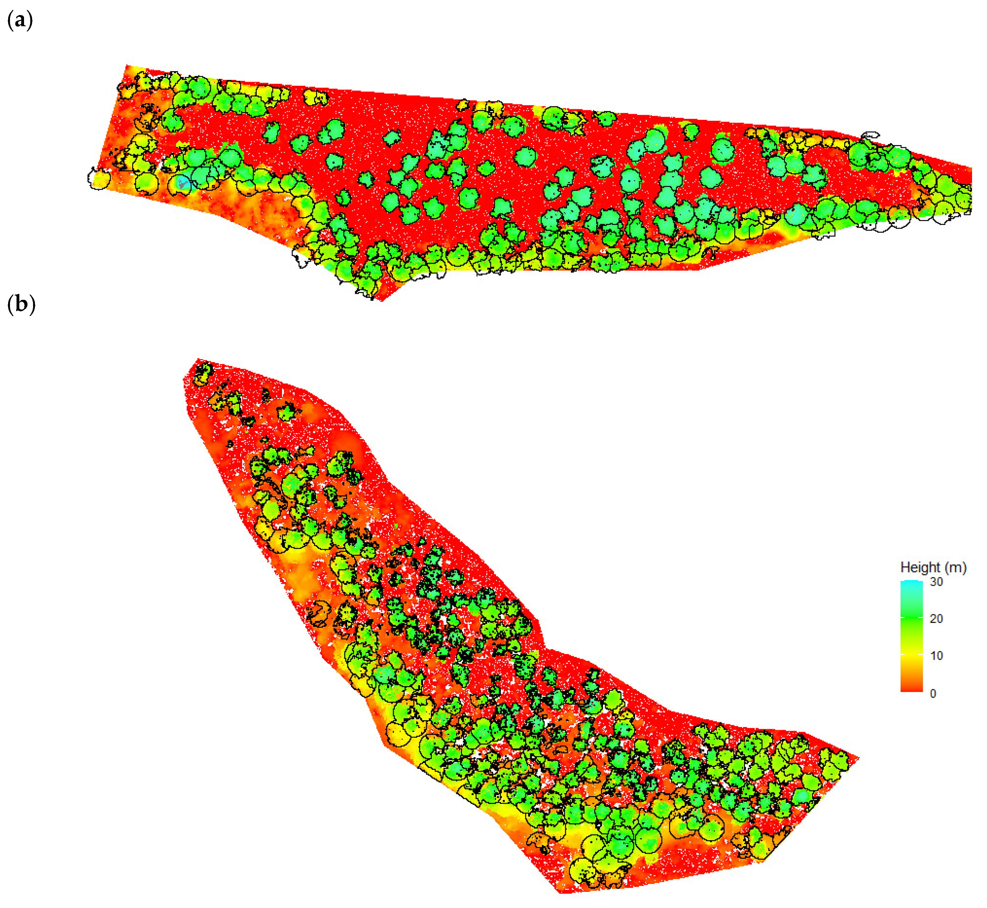 Forests 12 00258 g005 Forests 12 00258 g005