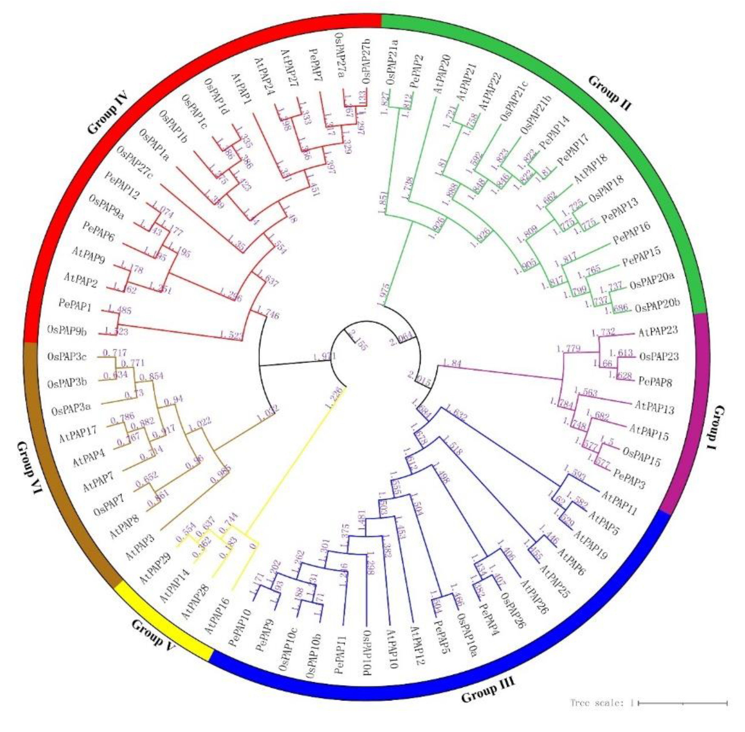 Forests 12 00326 g004