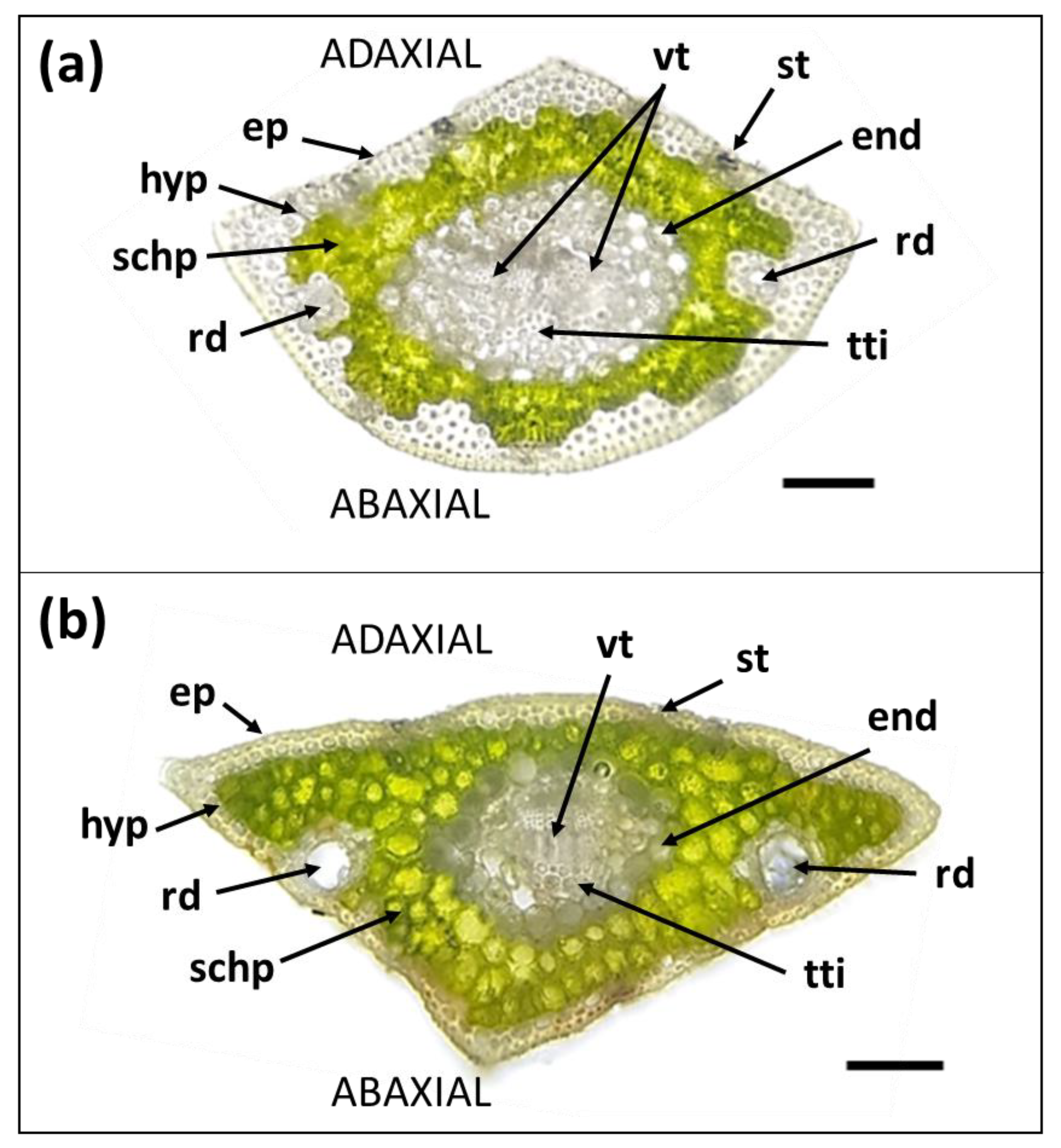 Forests 12 00341 g002