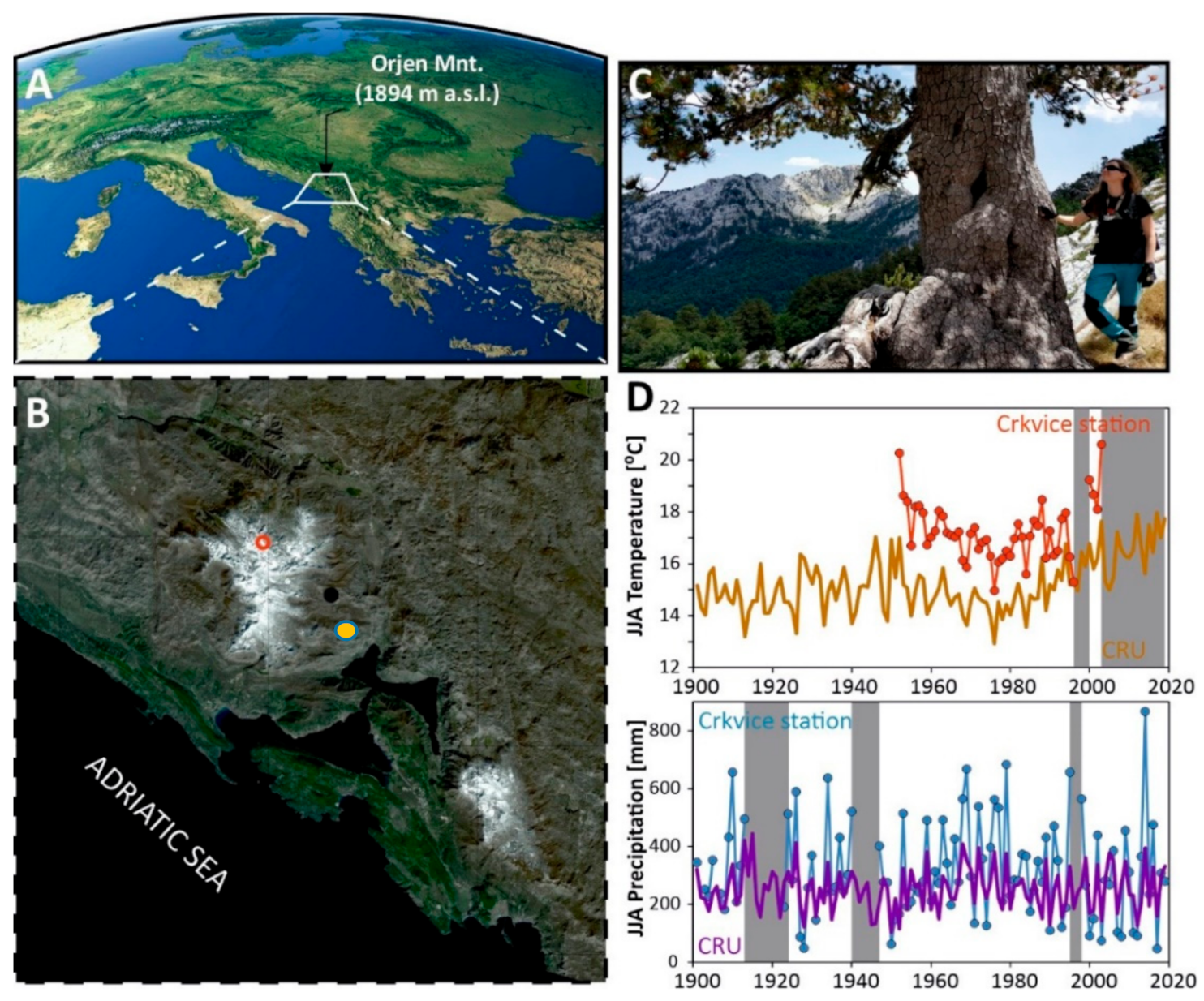 Forests 12 00350 g001 Forests 12 00350 g001