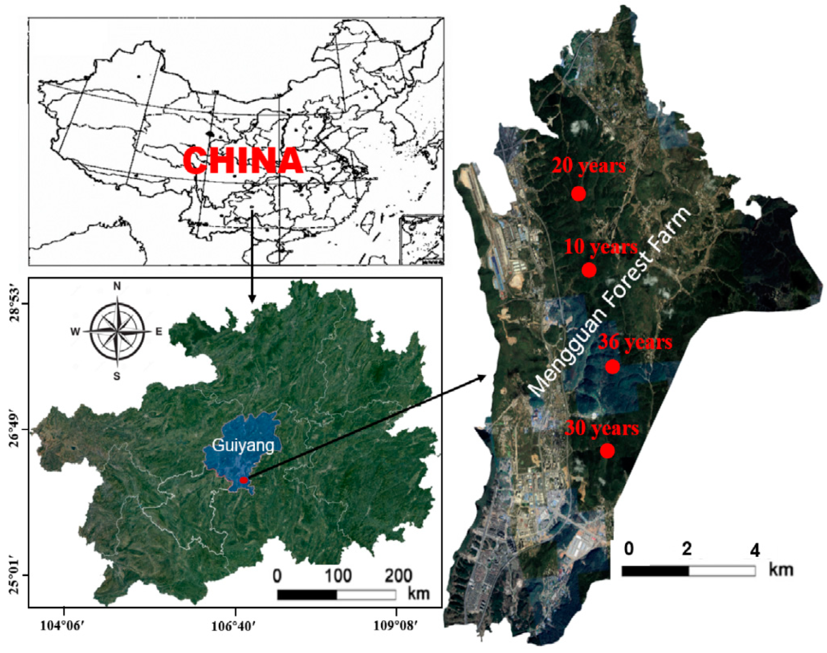 Forests 12 00376 g001