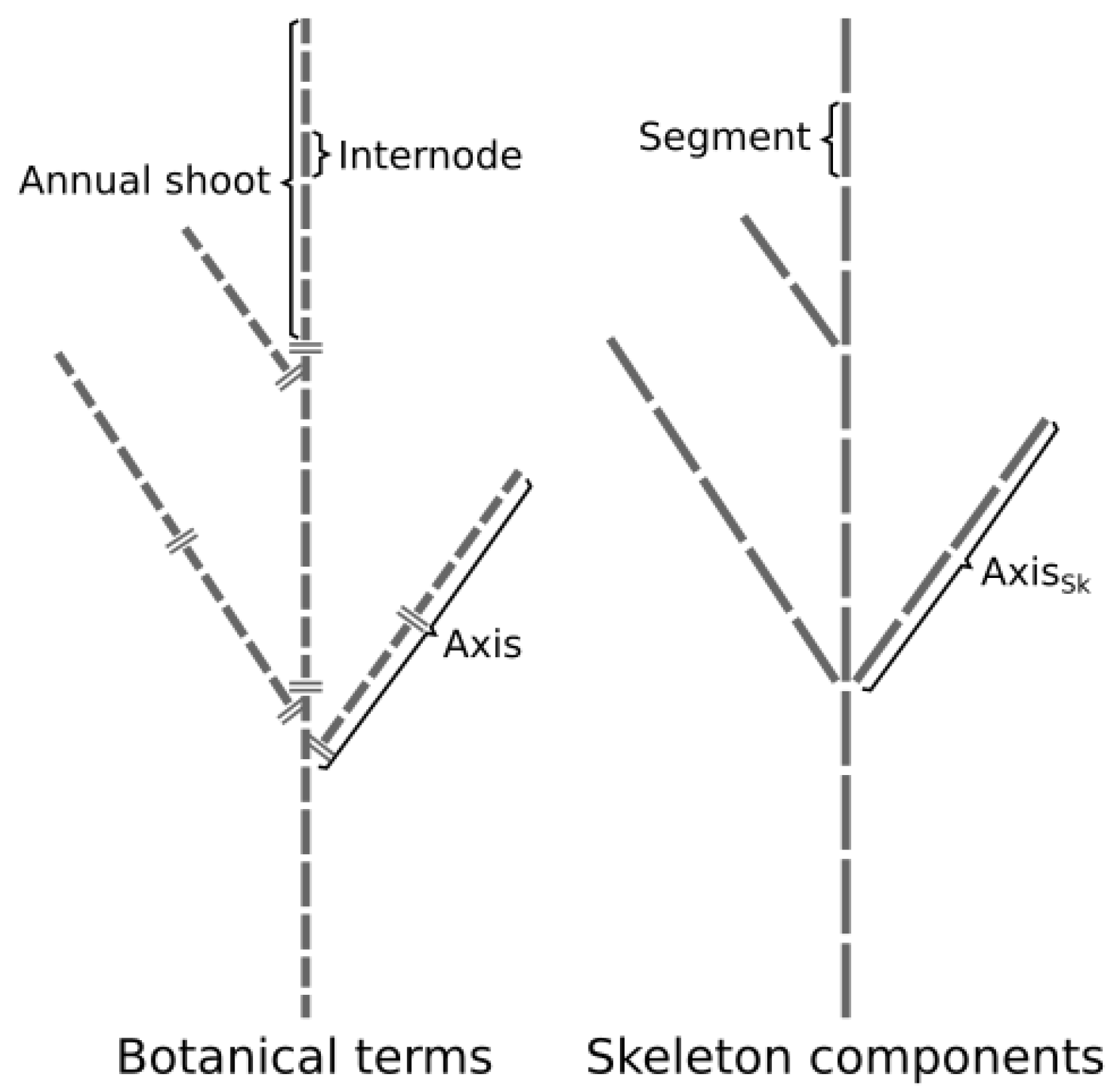 Forests 12 00391 g001