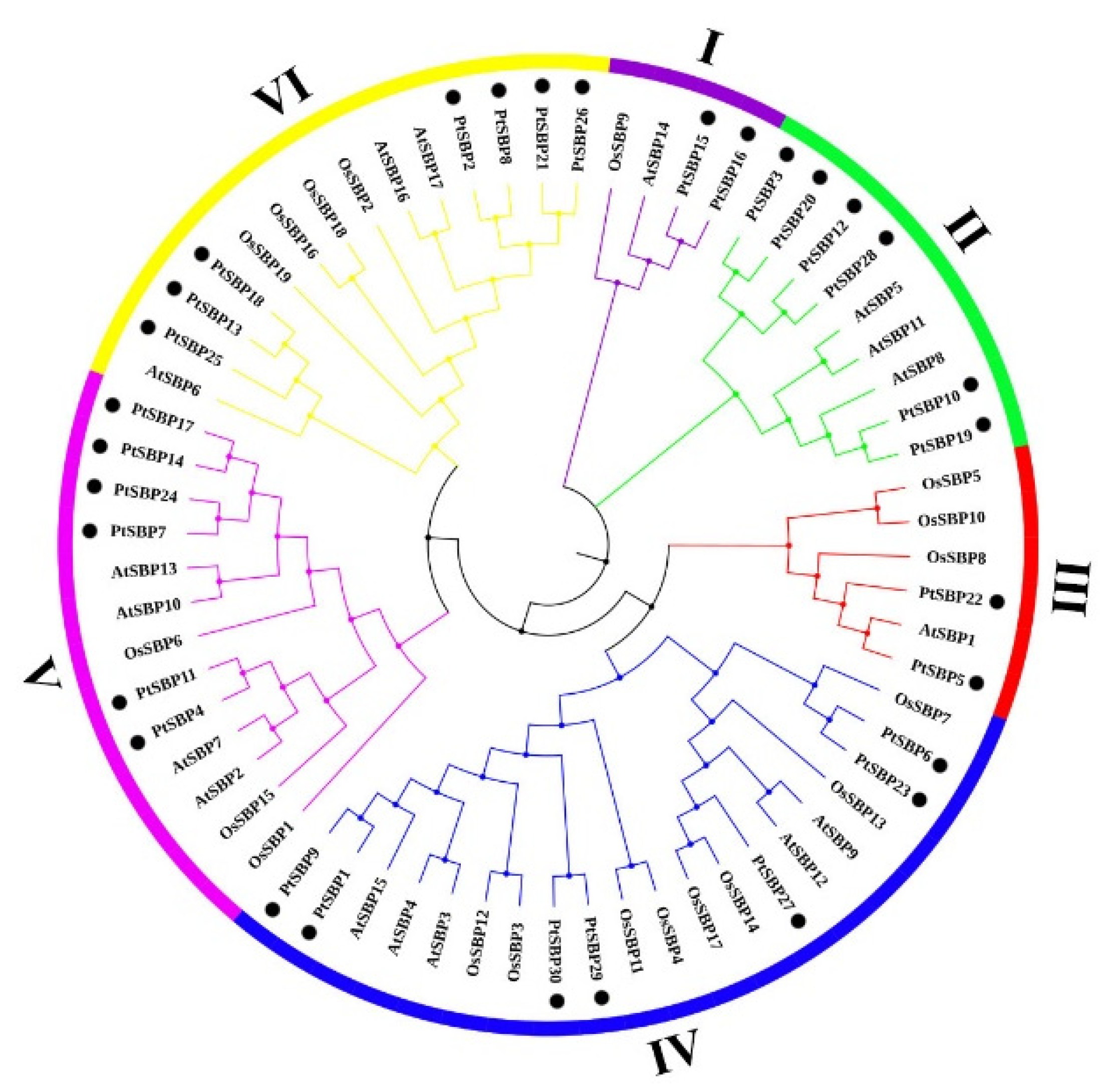 Forests 12 00413 g002 Forests 12 00413 g002