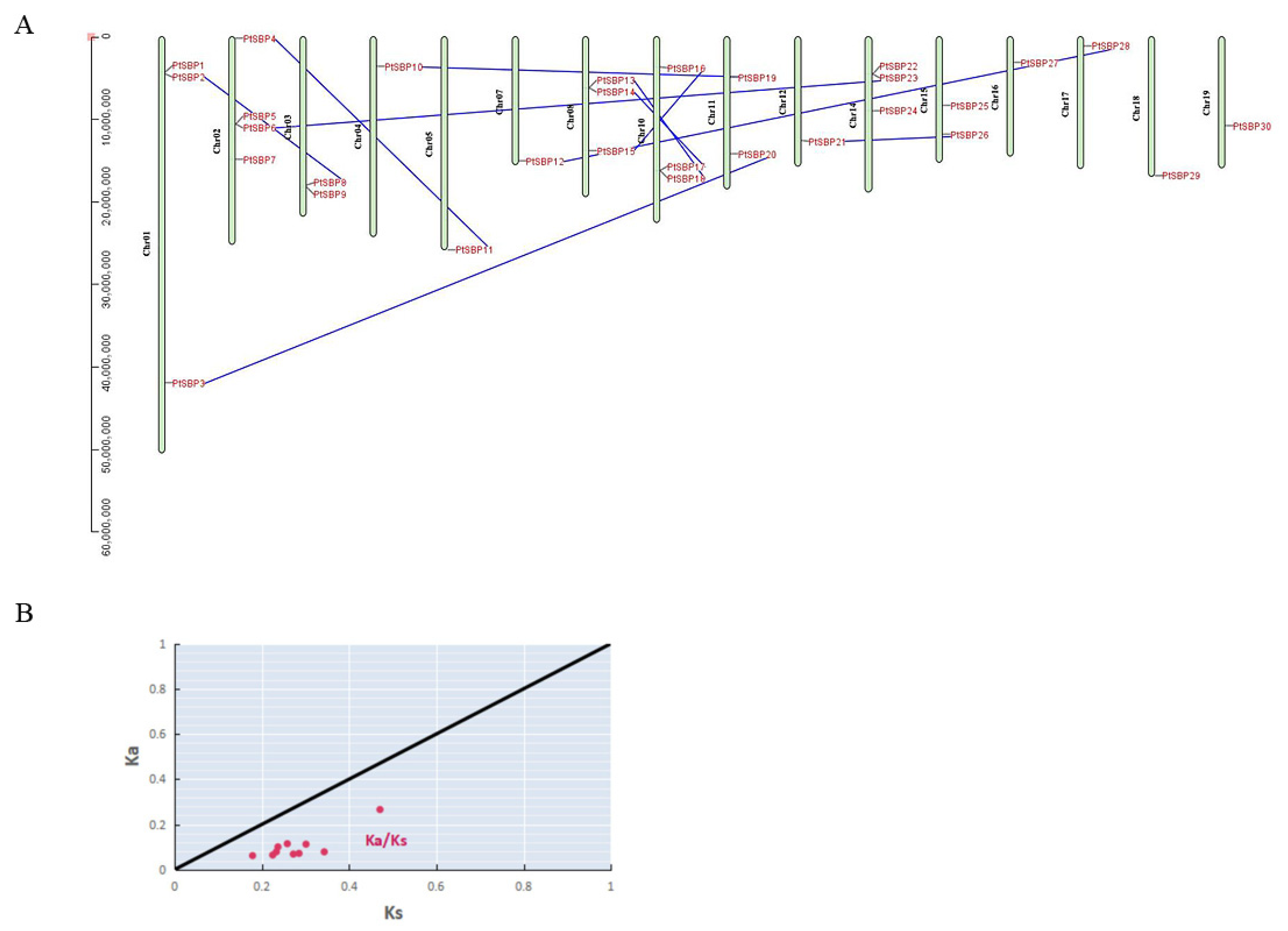 Forests 12 00413 g004 Forests 12 00413 g004
