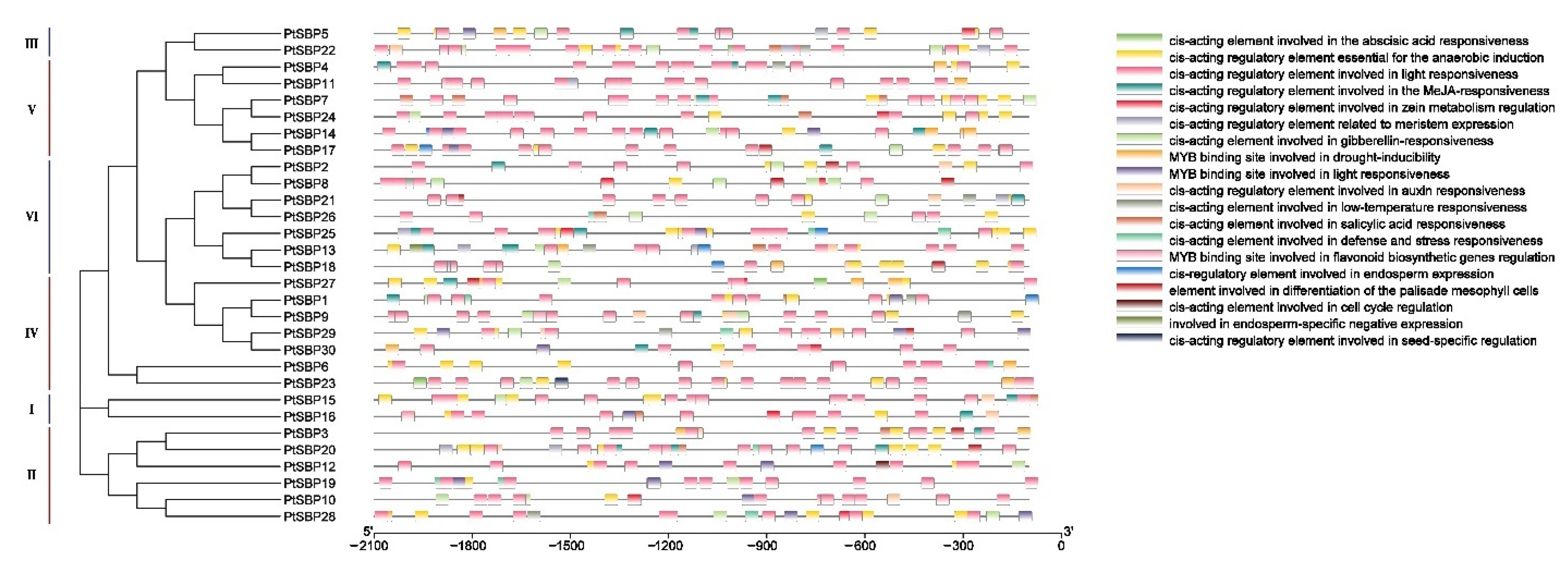 Forests 12 00413 g006 Forests 12 00413 g006