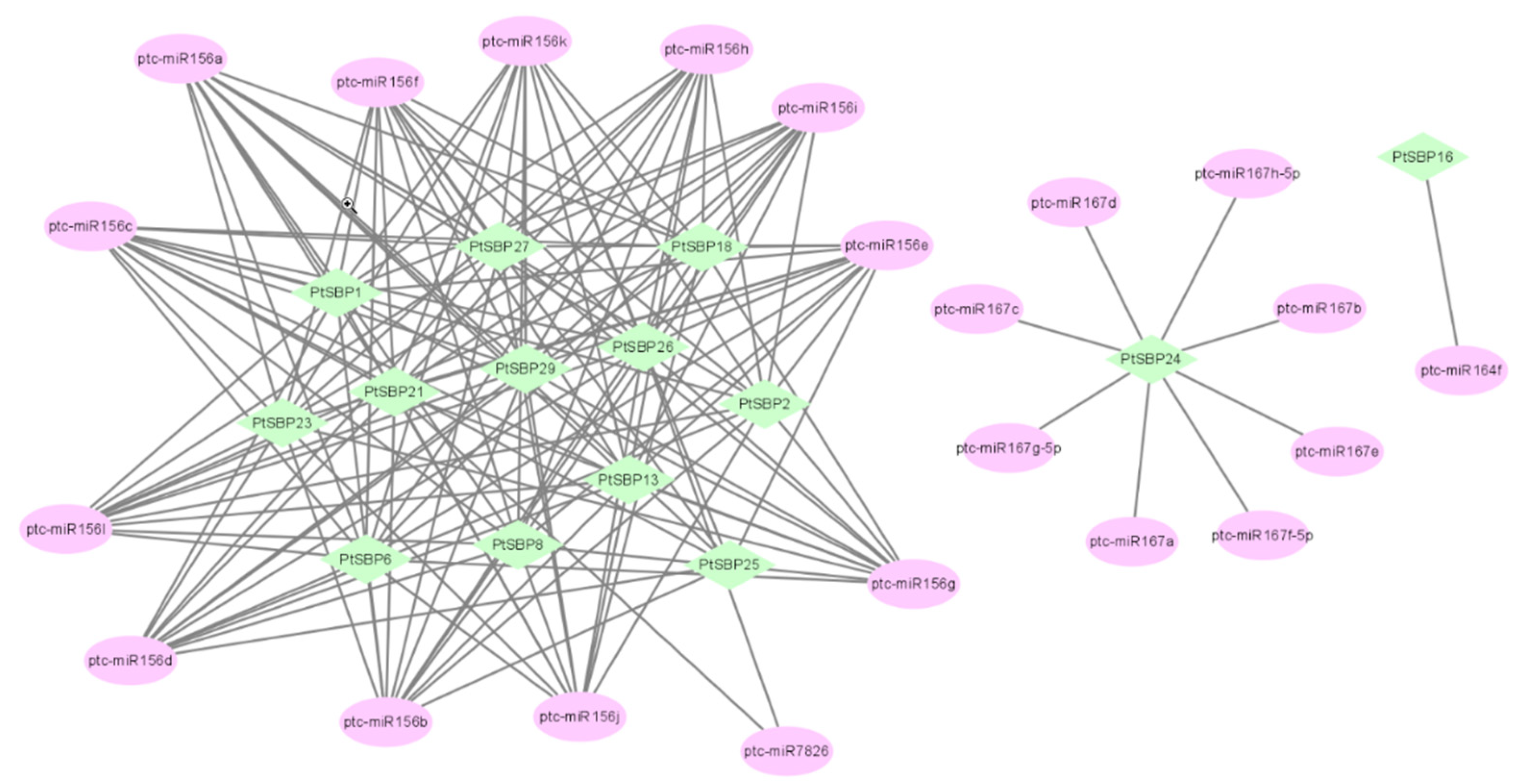 Forests 12 00413 g007 Forests 12 00413 g007