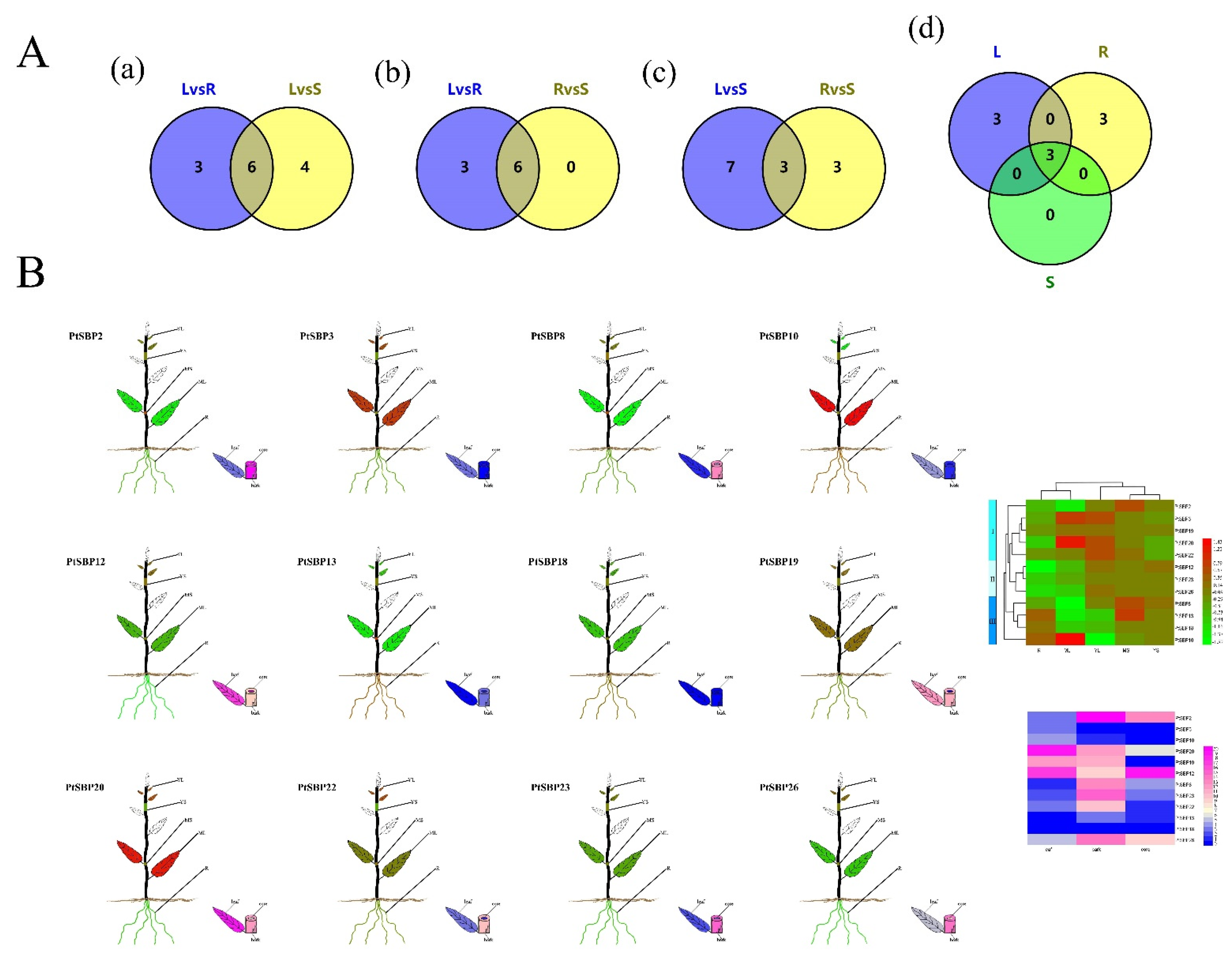 Forests 12 00413 g008 Forests 12 00413 g008