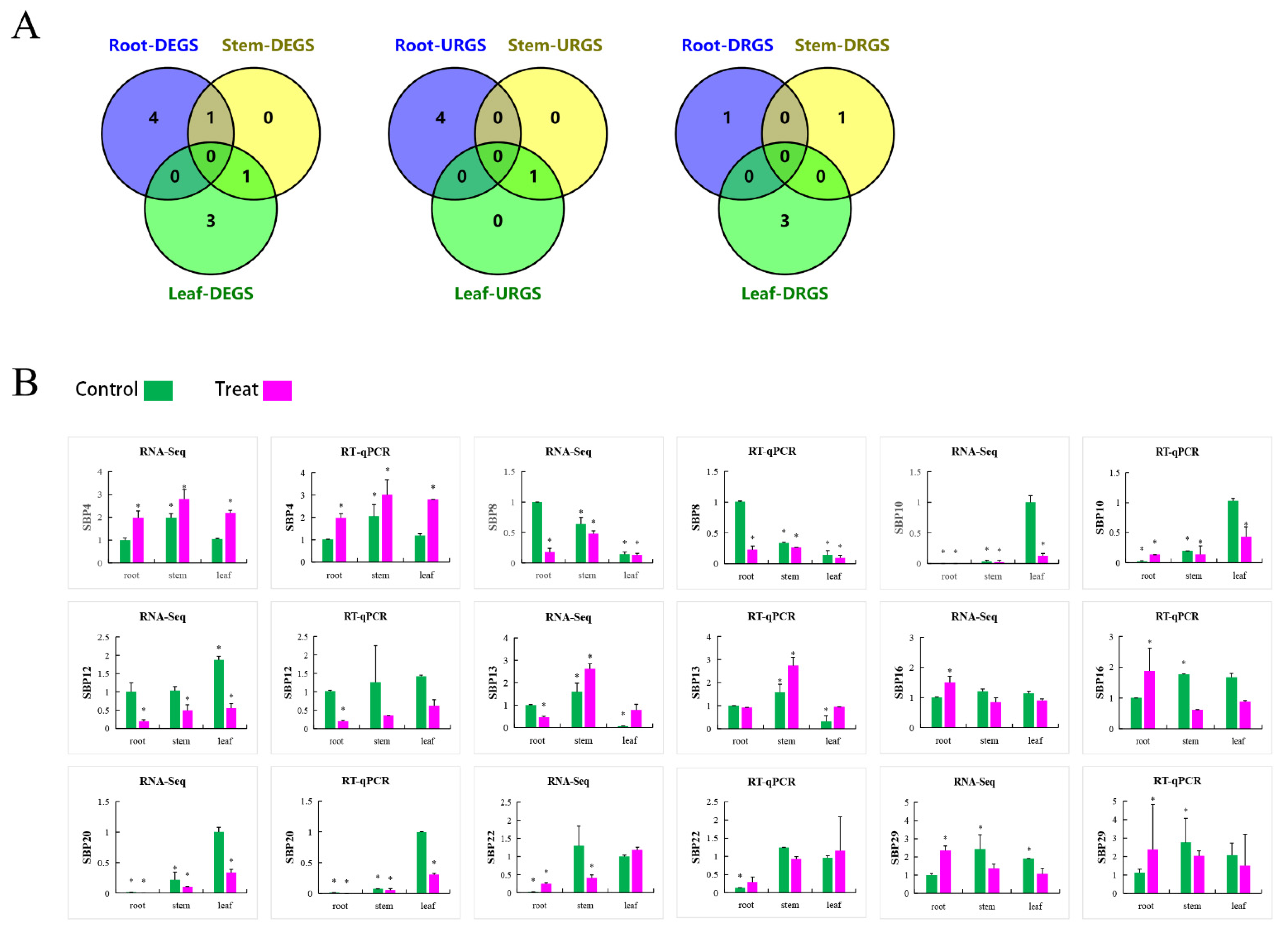Forests 12 00413 g009 Forests 12 00413 g009
