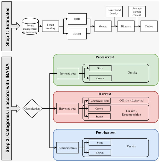 Forests | Free Full-Text | Forest Management with Reduced-Impact ...