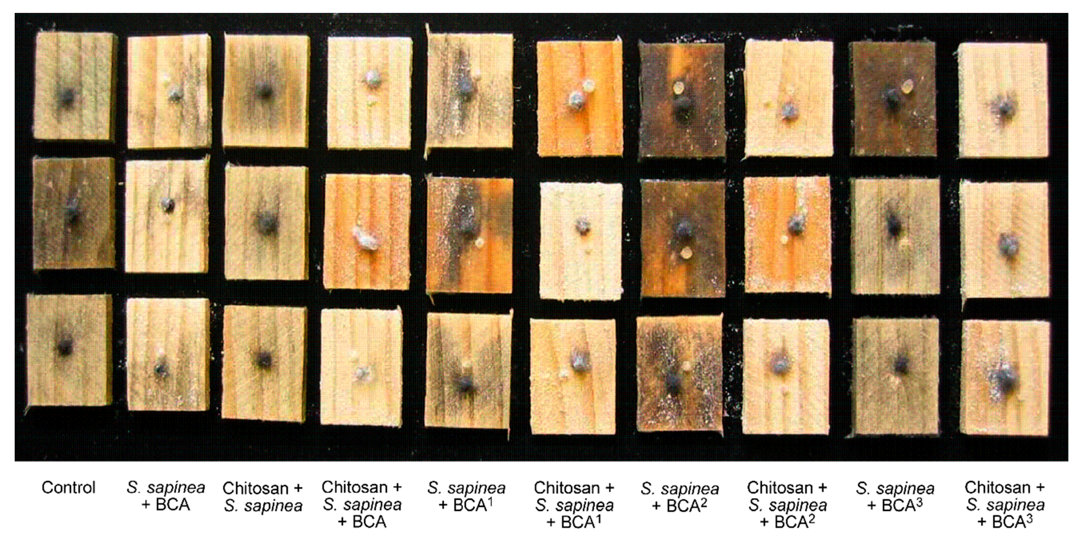 Forests 12 00542 g002 Forests 12 00542 g002