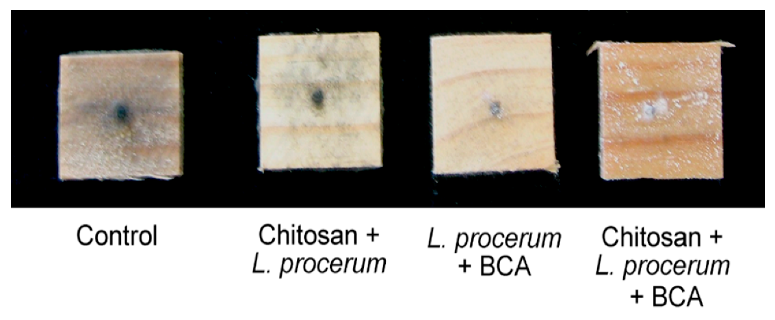 Forests 12 00542 g003 Forests 12 00542 g003