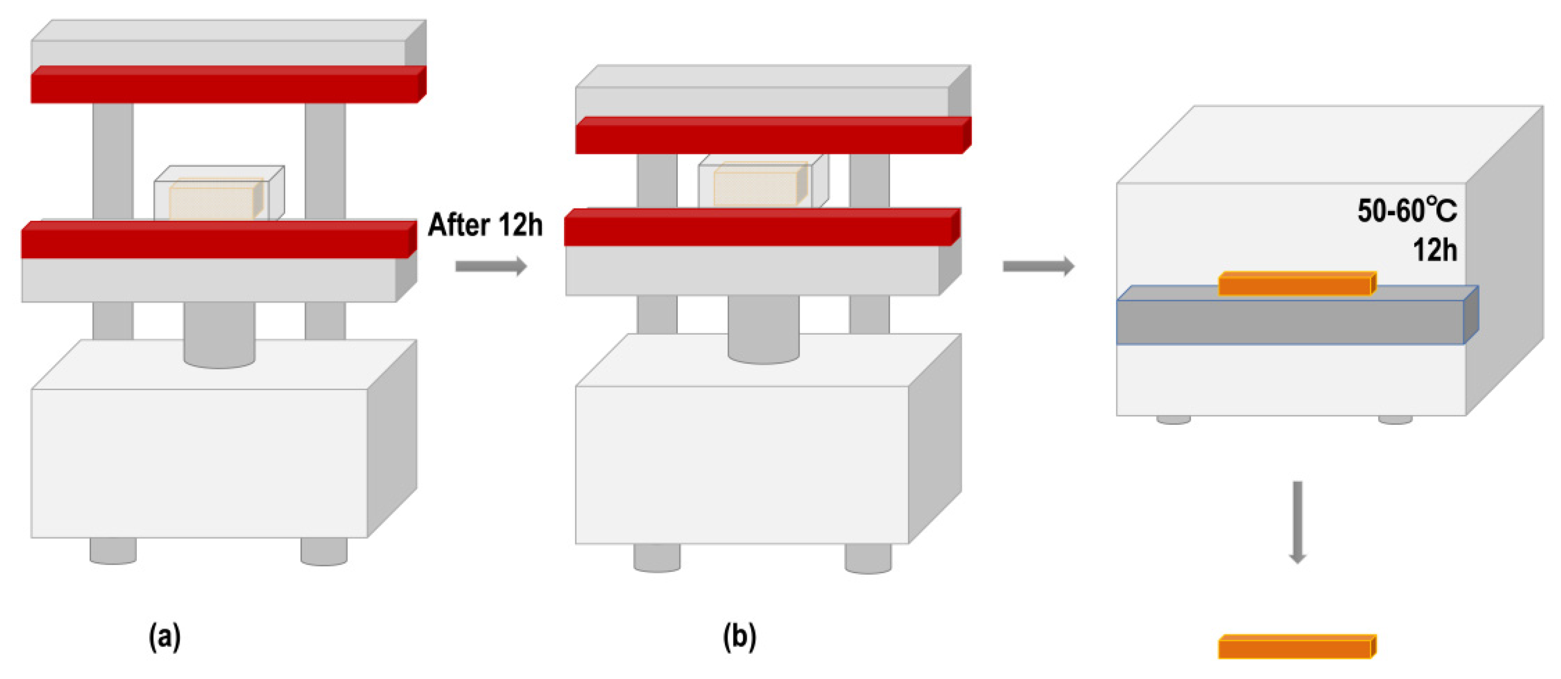 Forests 12 00567 g002