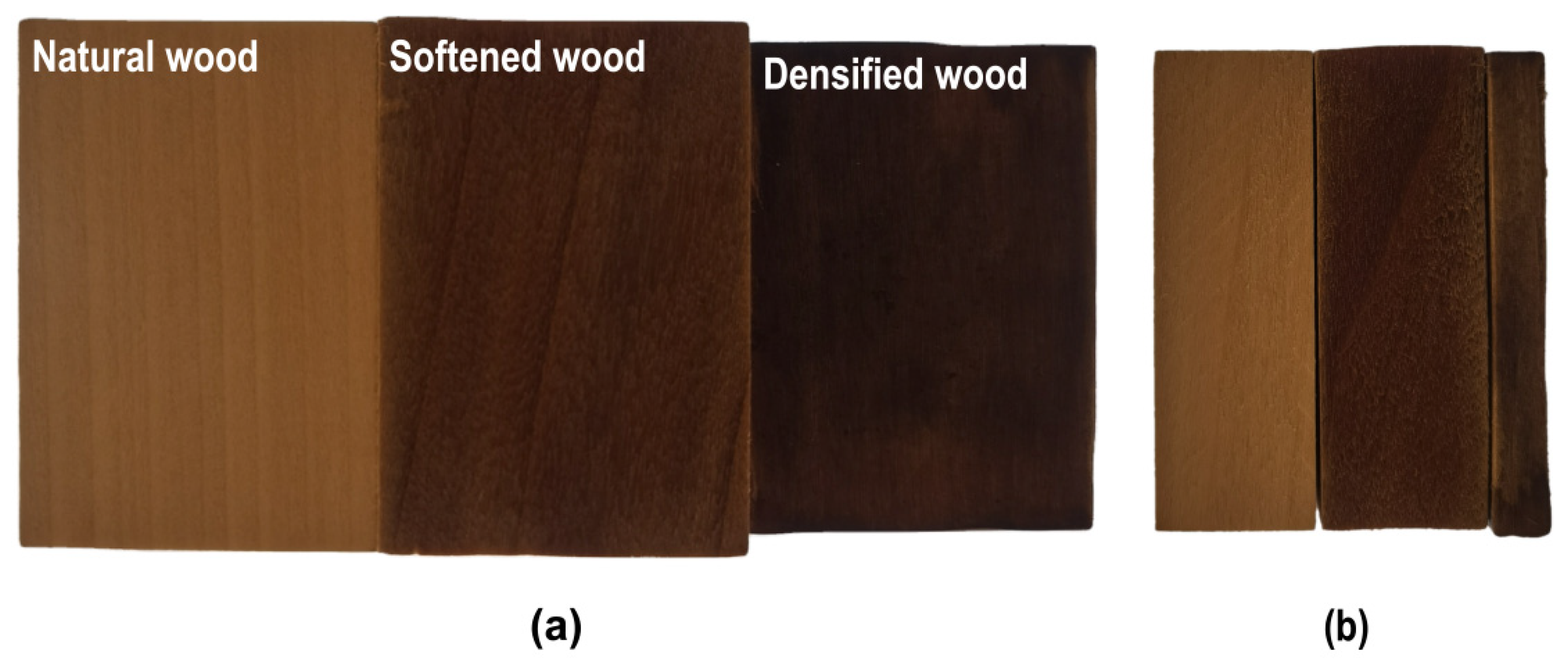 Forests 12 00567 g003