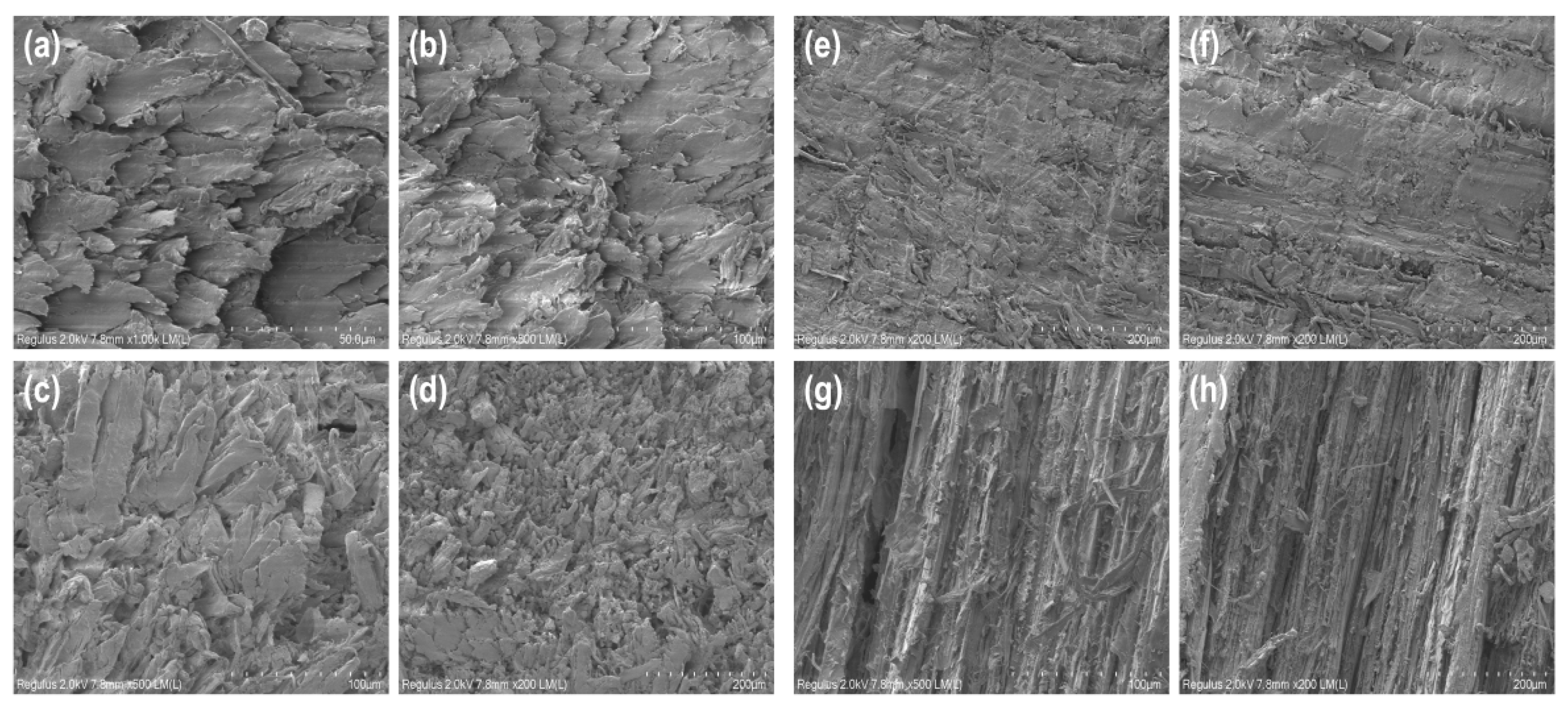 Forests 12 00567 g007