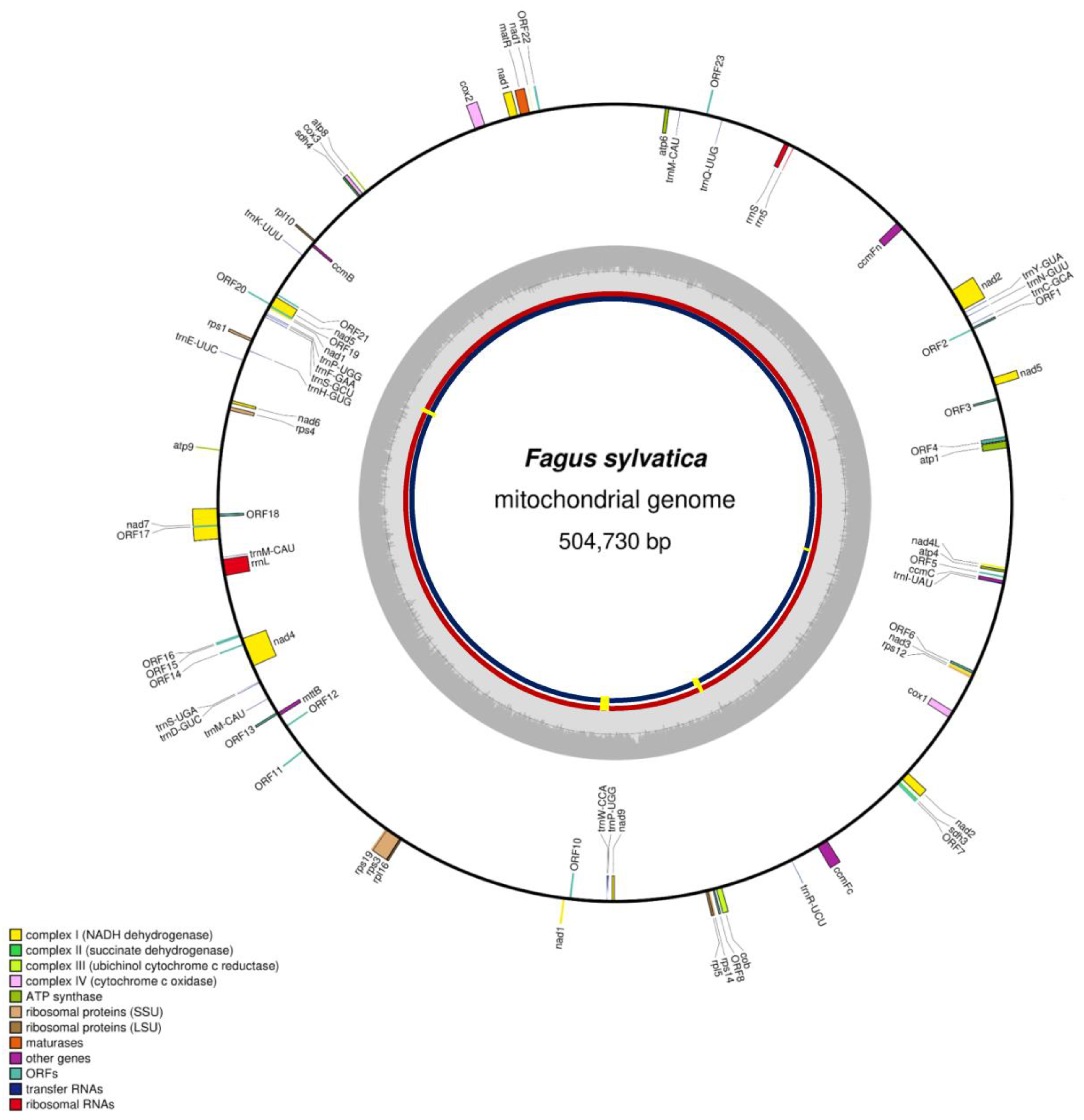 Forests 12 00571 g001 Forests 12 00571 g001