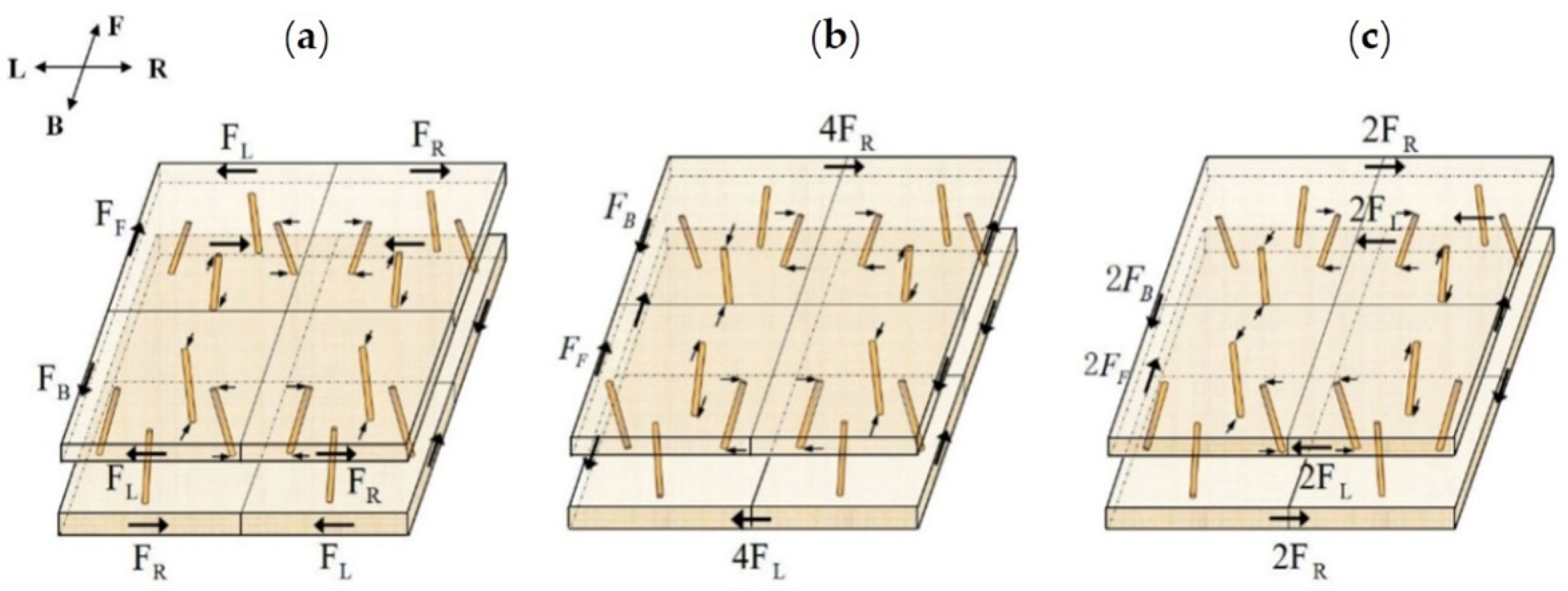 Forests 12 00607 g011