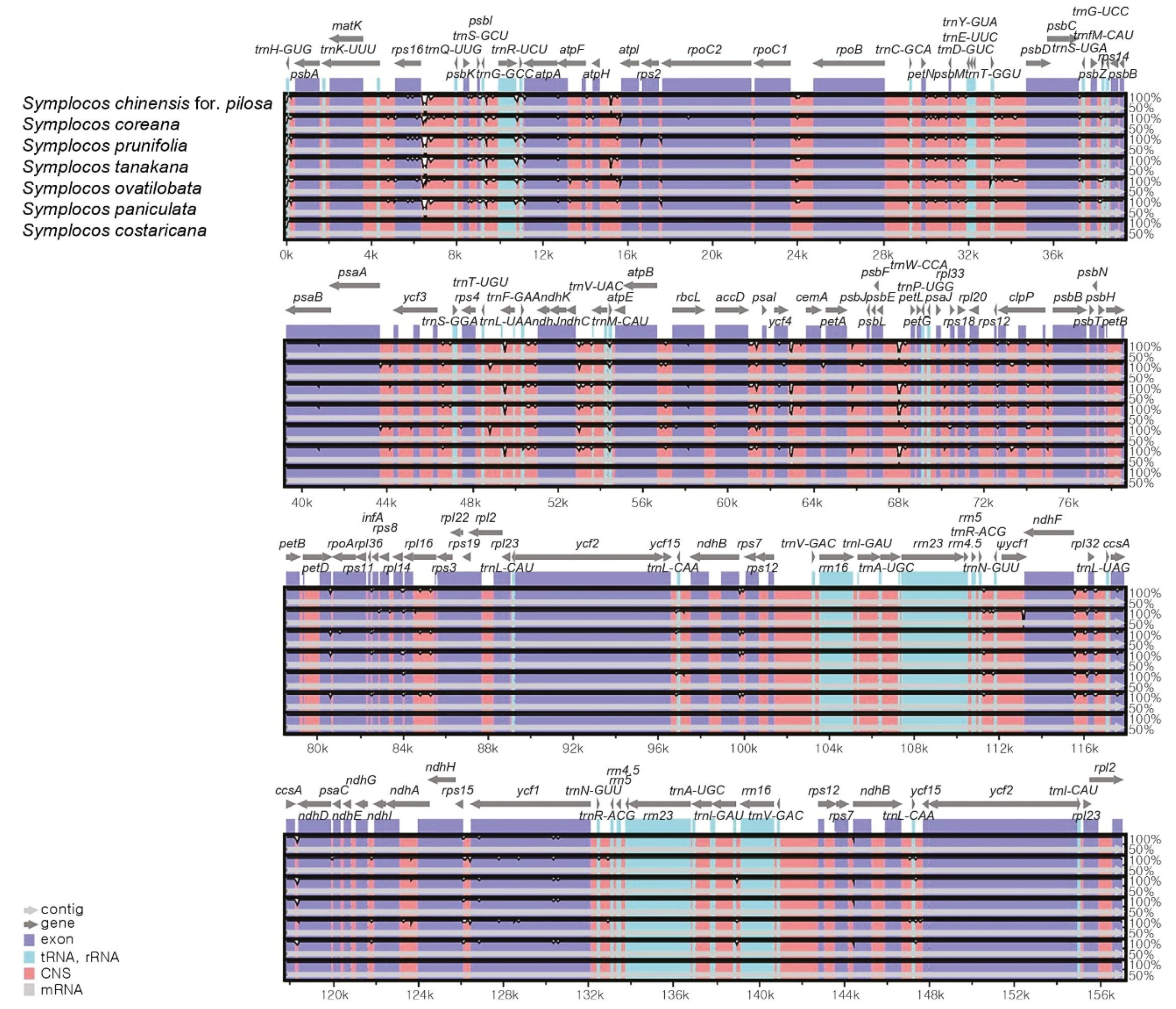Forests 12 00608 g002