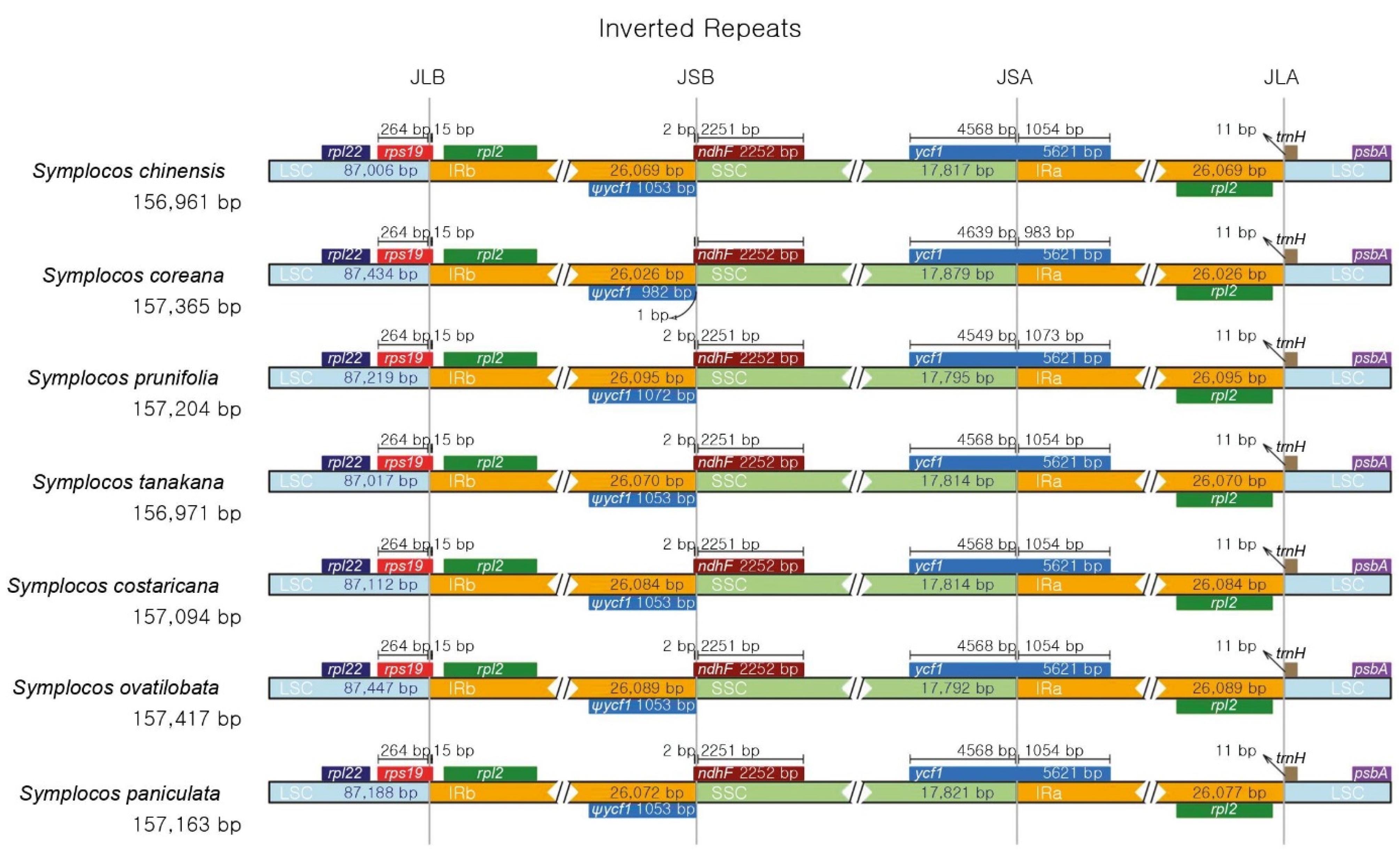 Forests 12 00608 g003