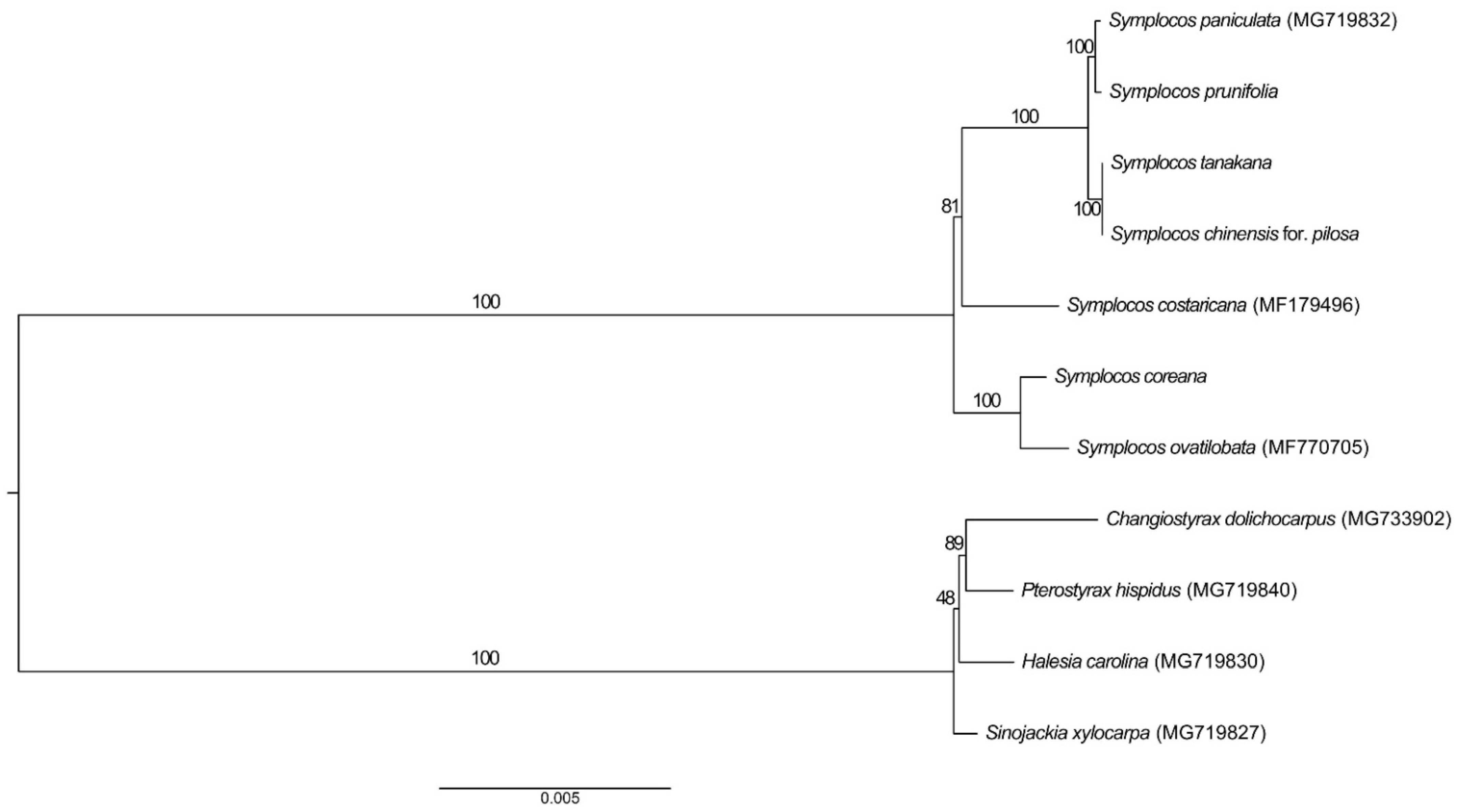 Forests 12 00608 g008