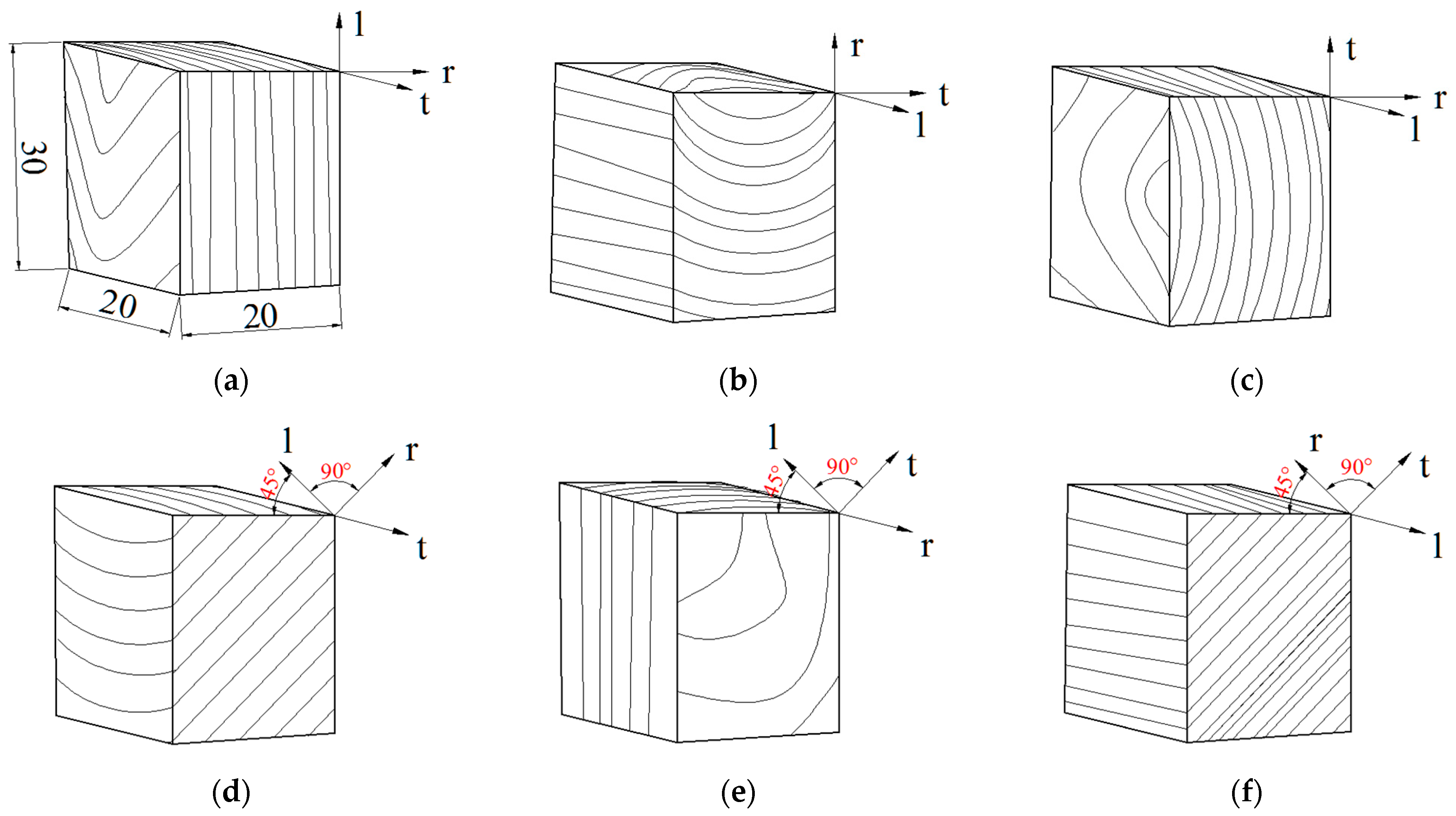 Forests 12 00610 g001