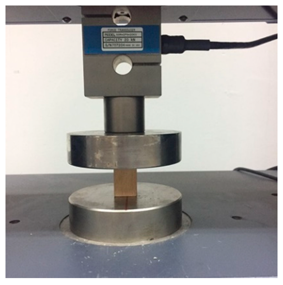 Forests 12 00610 g002