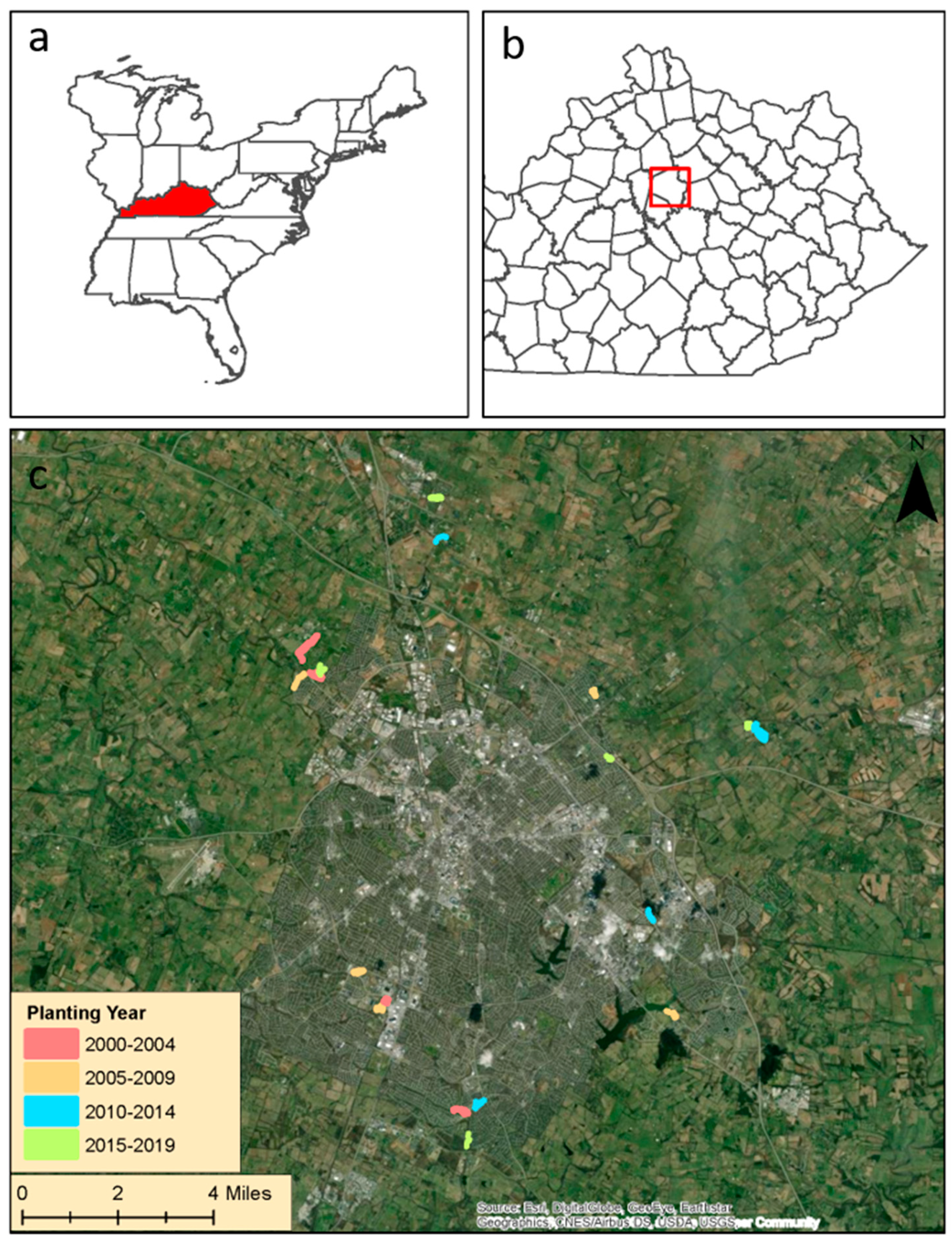 Forests 12 00614 g001
