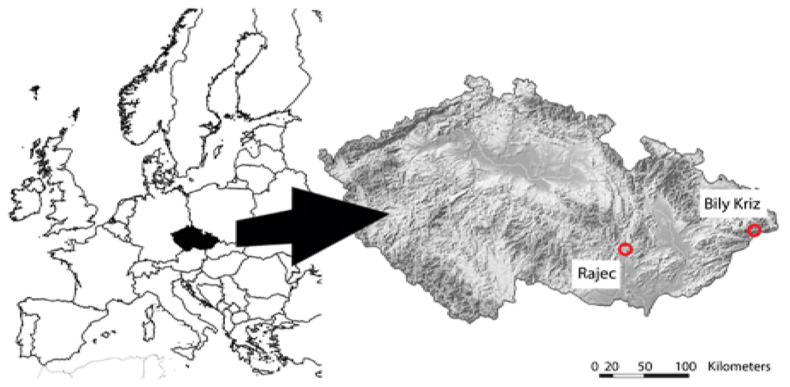 Forests 12 00627 g001